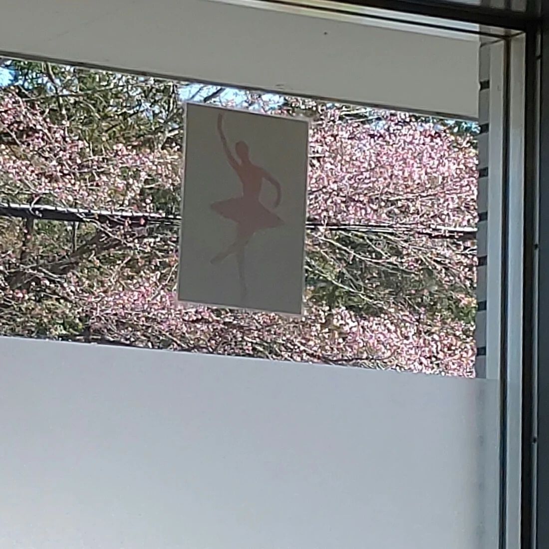 アトリエＮoa(のあ) バレエ 札内青葉町教室のサムネイル画像 5