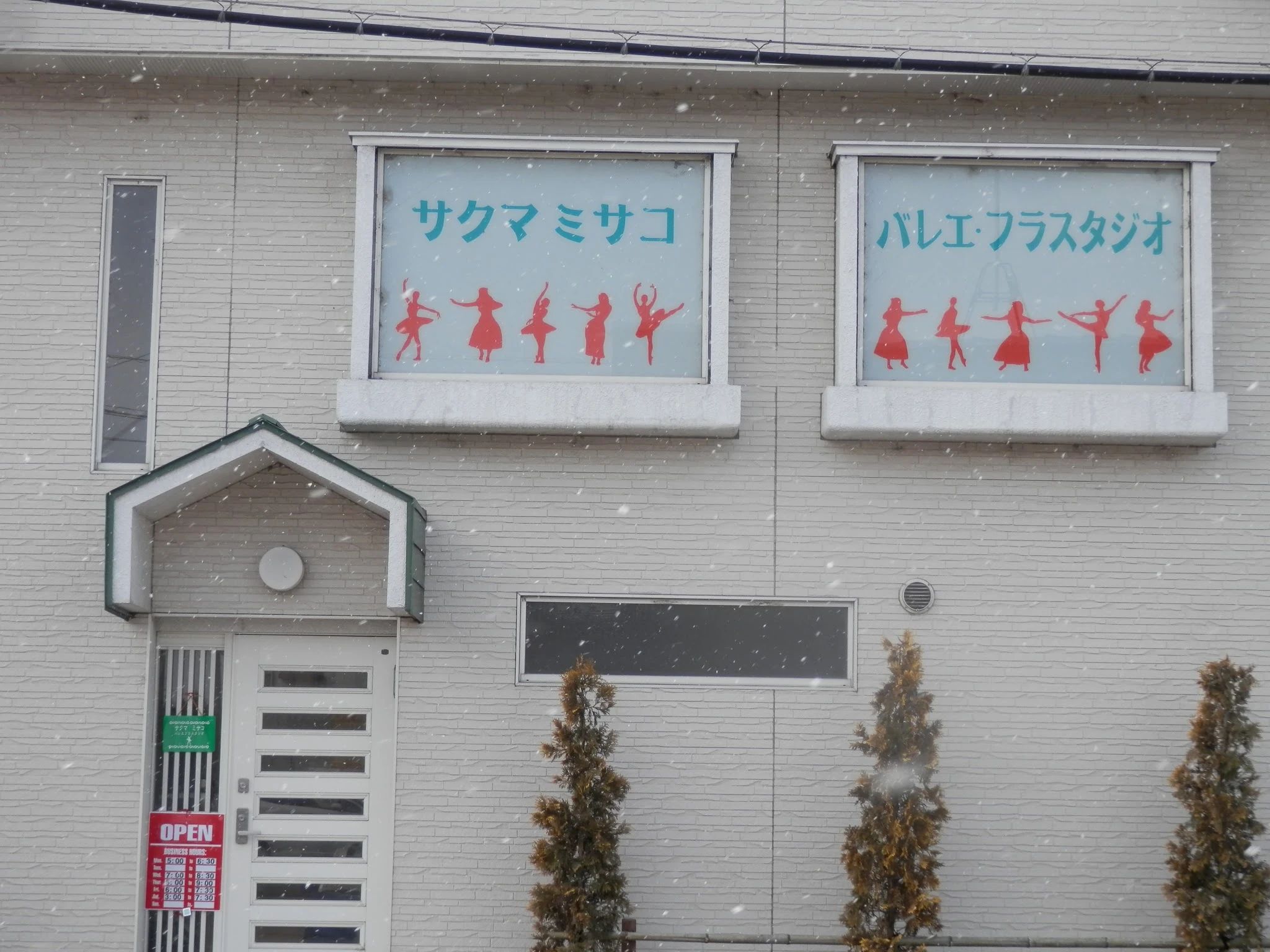 サクマミサコバレエ・フラスタジオ 大平中目字威徳寺前教室のメイン画像