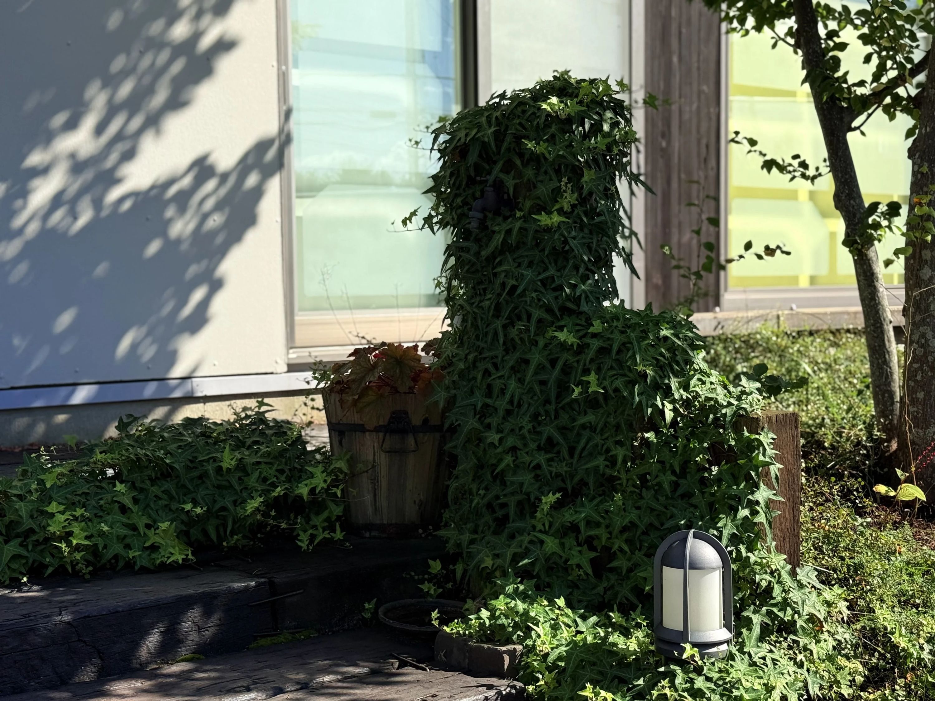 Passo(パッソ) バレエ 中山台教室のサムネイル画像 5