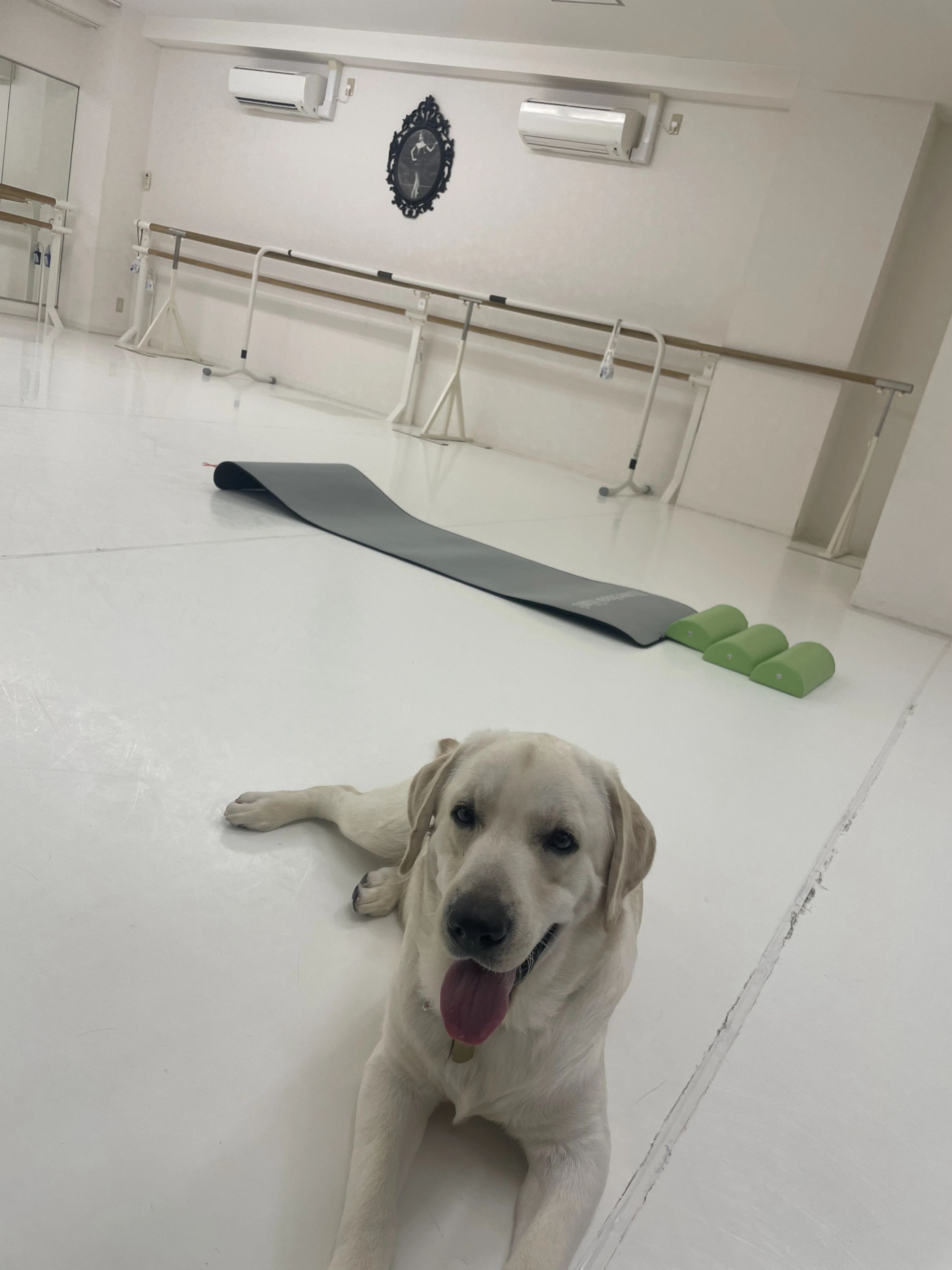 バレエロイヤル三軒茶屋 下馬教室のサムネイル画像 2