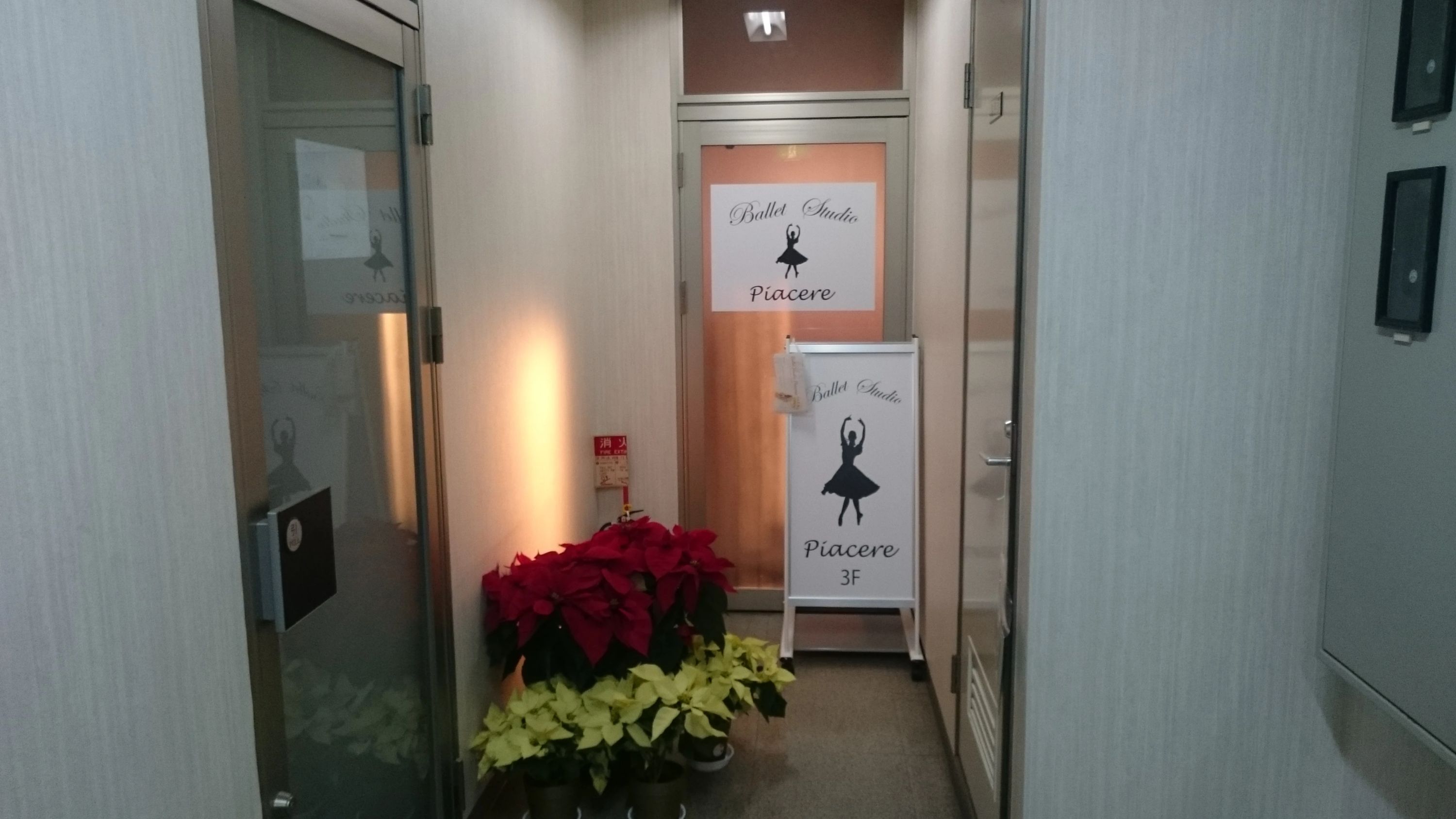 Piacere(ピアチェーレ) バレエ 南葛西教室のメイン画像