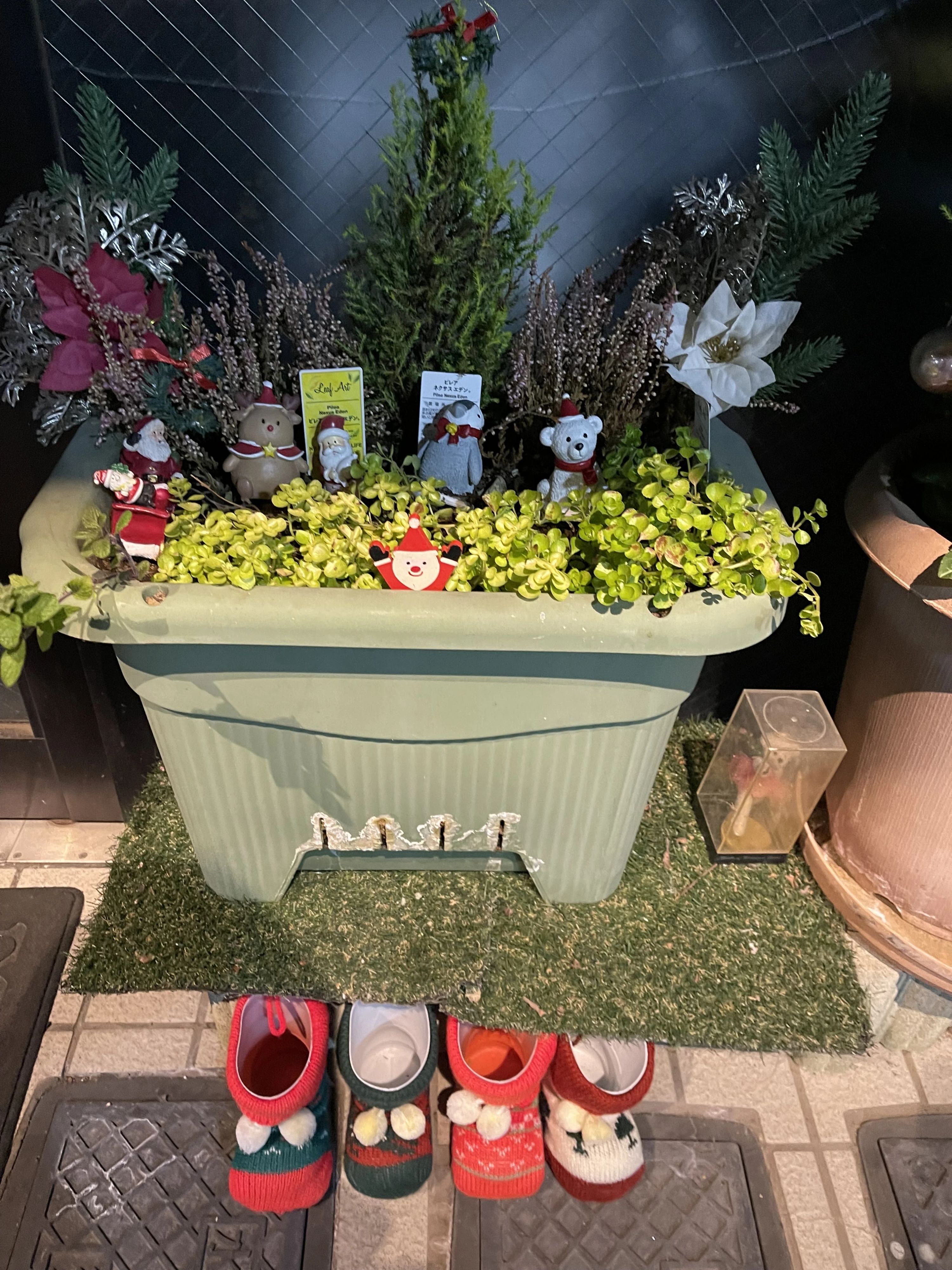 YUMI(ユミ) BALLET 東和泉教室のサムネイル画像 2