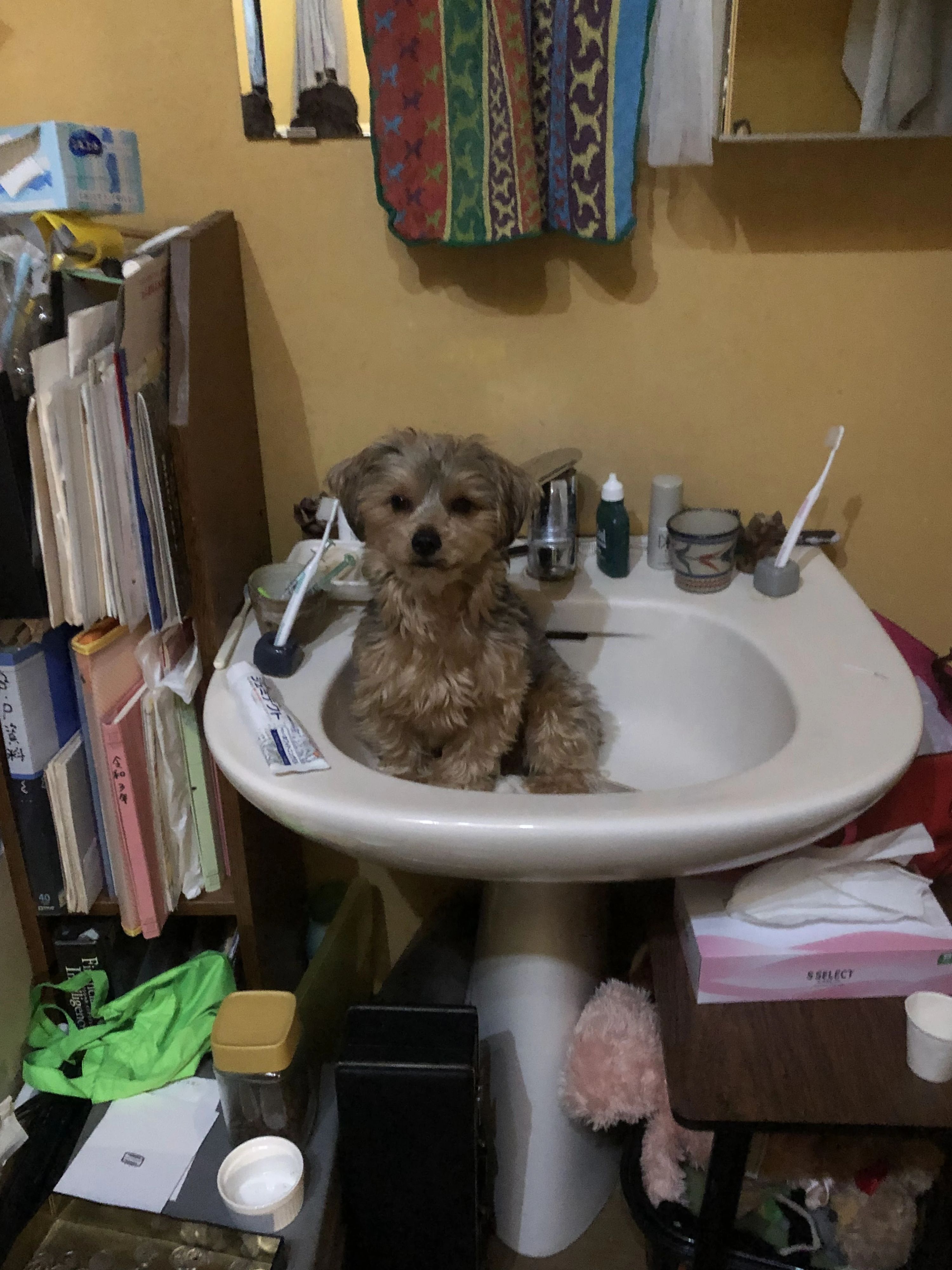 Fujisato(フジサト) Ballet Studio 石神井スタジオのメイン画像