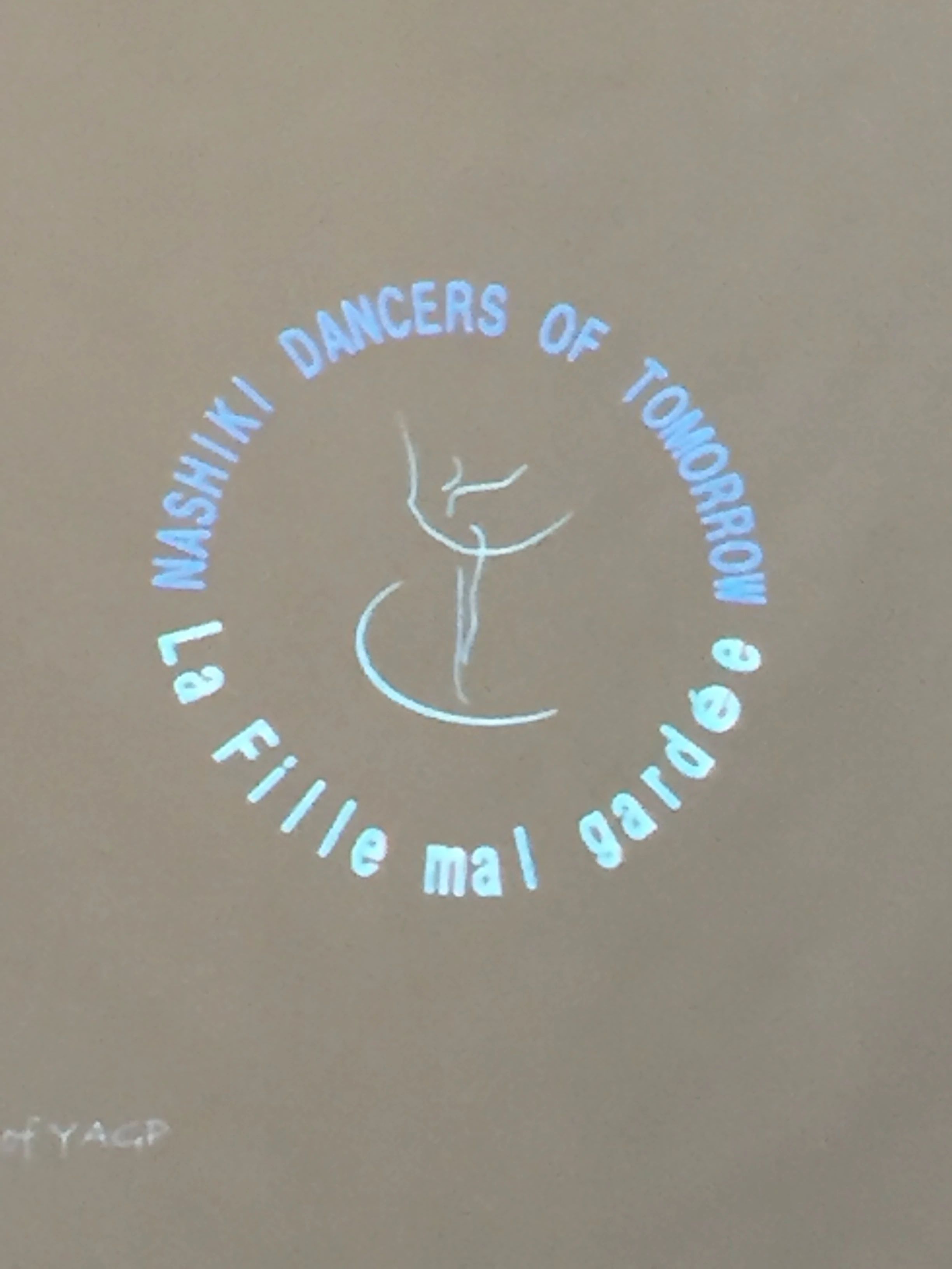 梨木バレエスタジオ 南水元教室のサムネイル画像 4