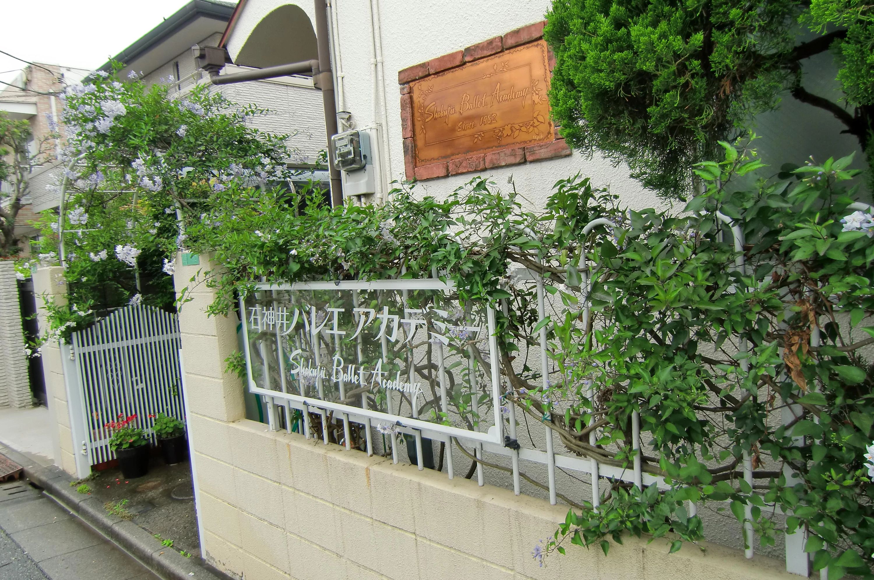 石神井バレエ・アカデミー 石神井町教室のサムネイル画像 2