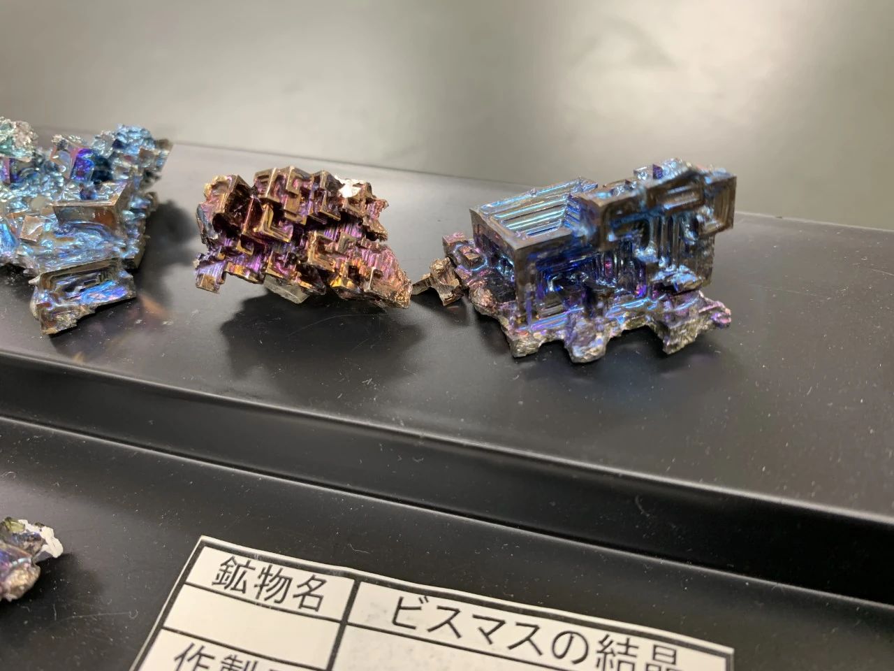 サイエンス倶楽部稲毛海岸教室のメイン画像