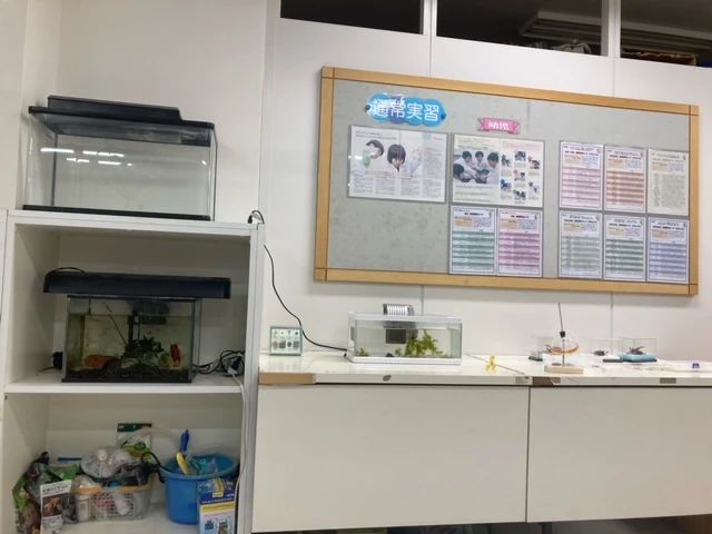 サイエンス倶楽部国立教室のサムネイル画像 5