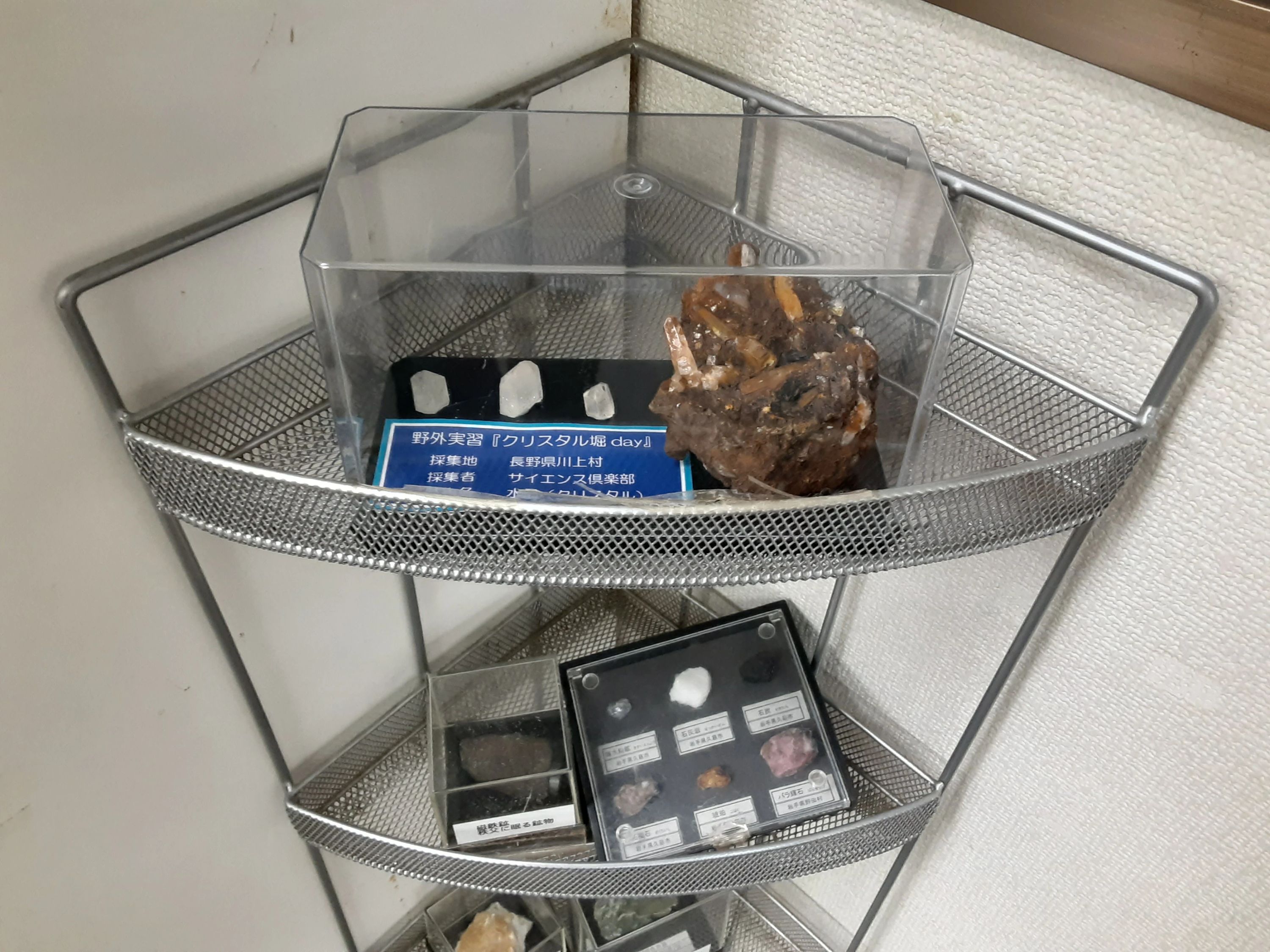 サイエンス倶楽部藤沢教室のサムネイル画像 3