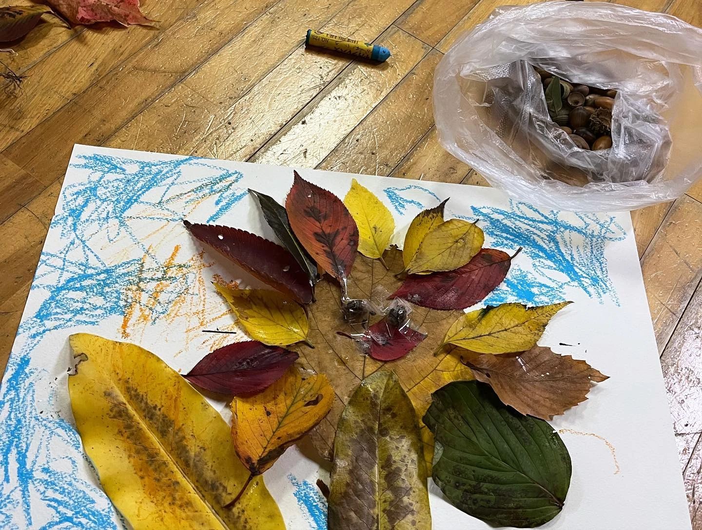 加藤みや子ダンススペース アネックス仙川ファクトリー バレエ 仙川町教室のサムネイル画像 3