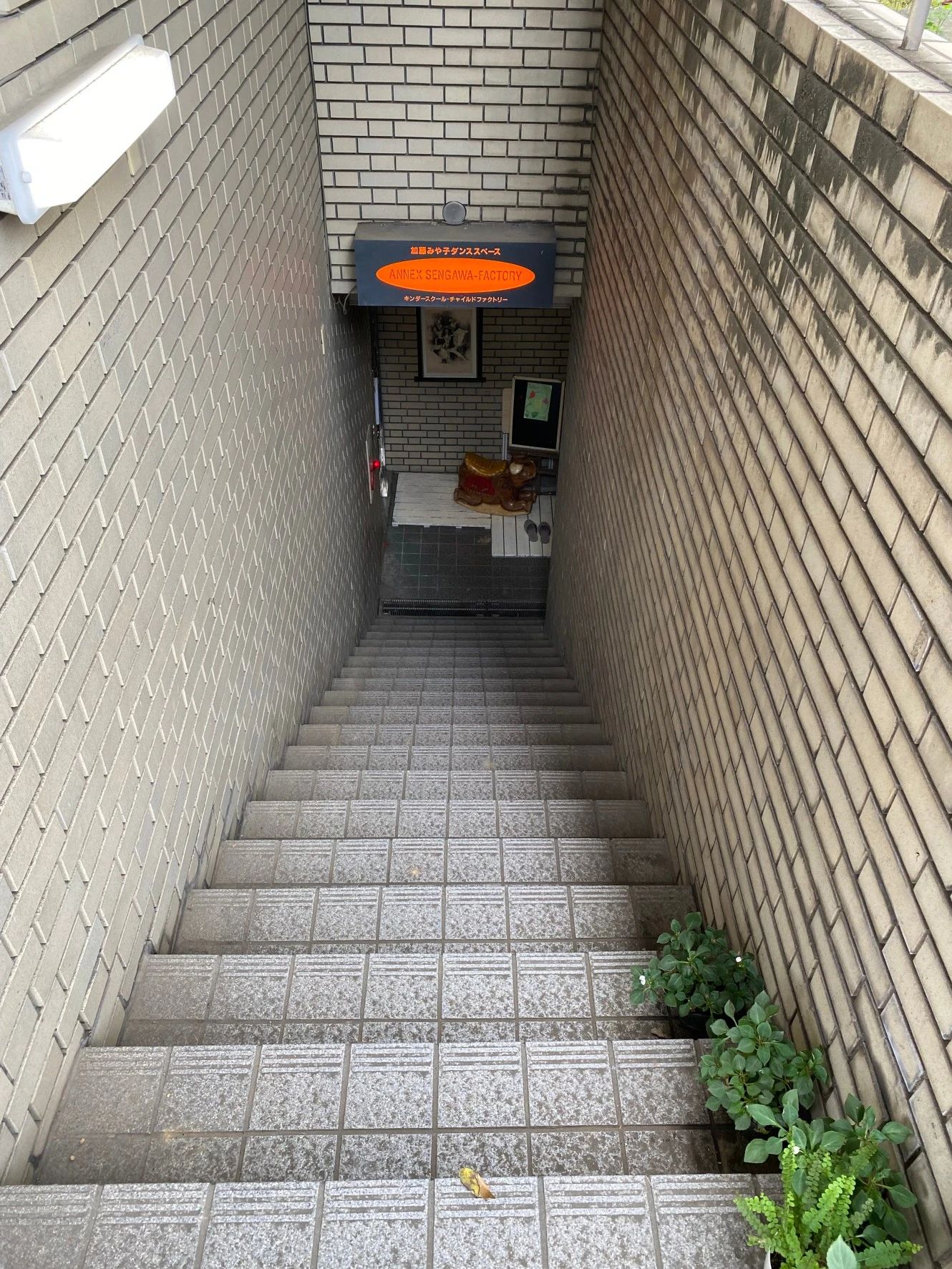 加藤みや子ダンススペース アネックス仙川ファクトリー バレエ 仙川町教室のメイン画像