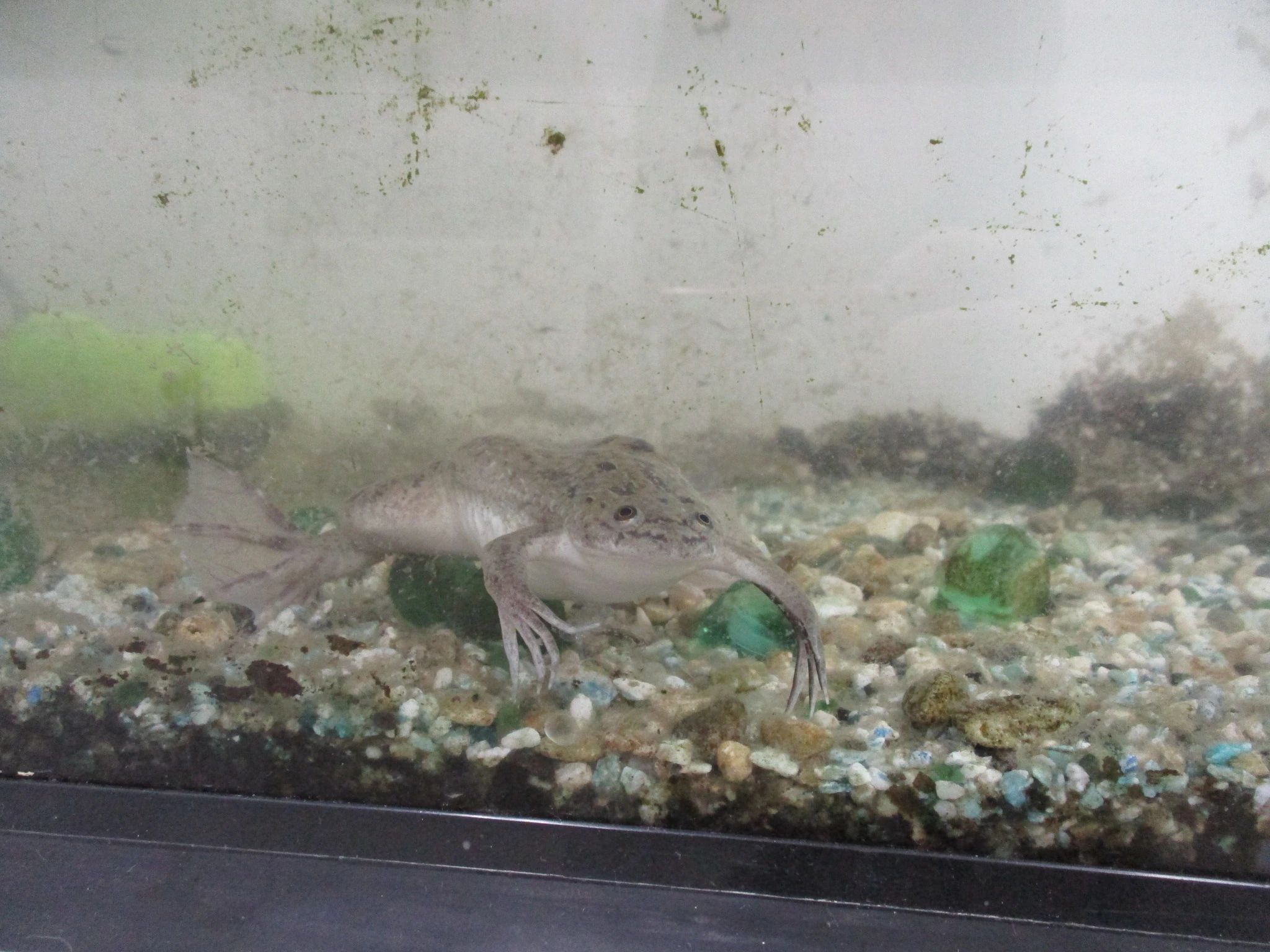 サイエンス倶楽部町田教室のメイン画像