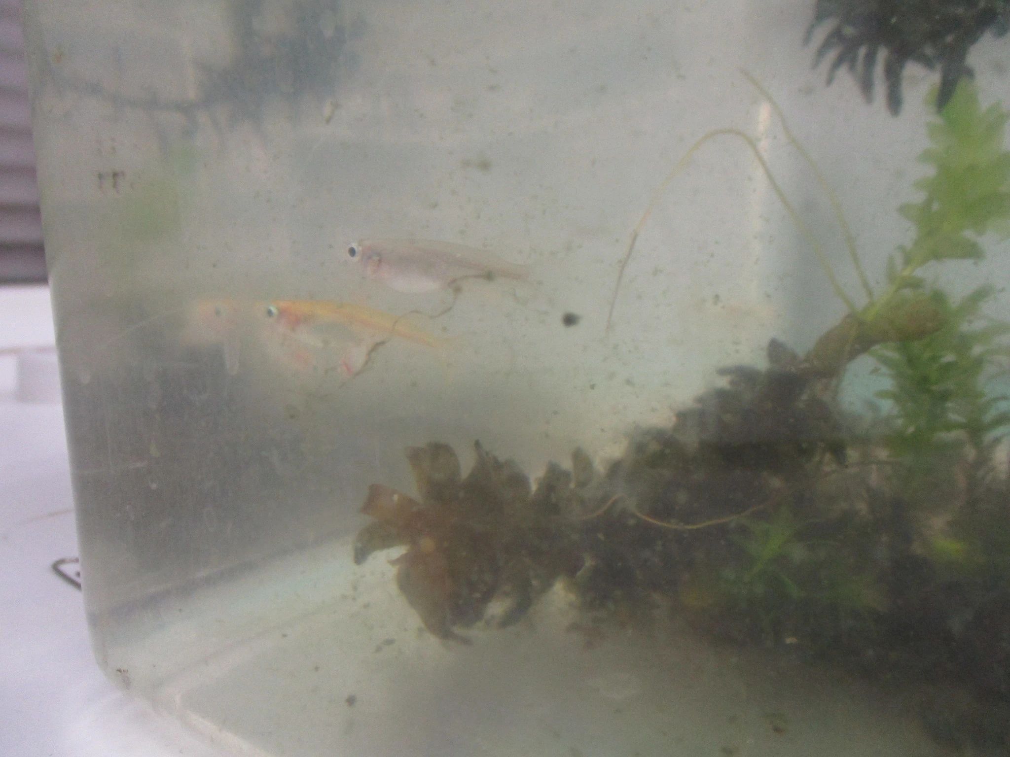 サイエンス倶楽部町田教室のサムネイル画像 2