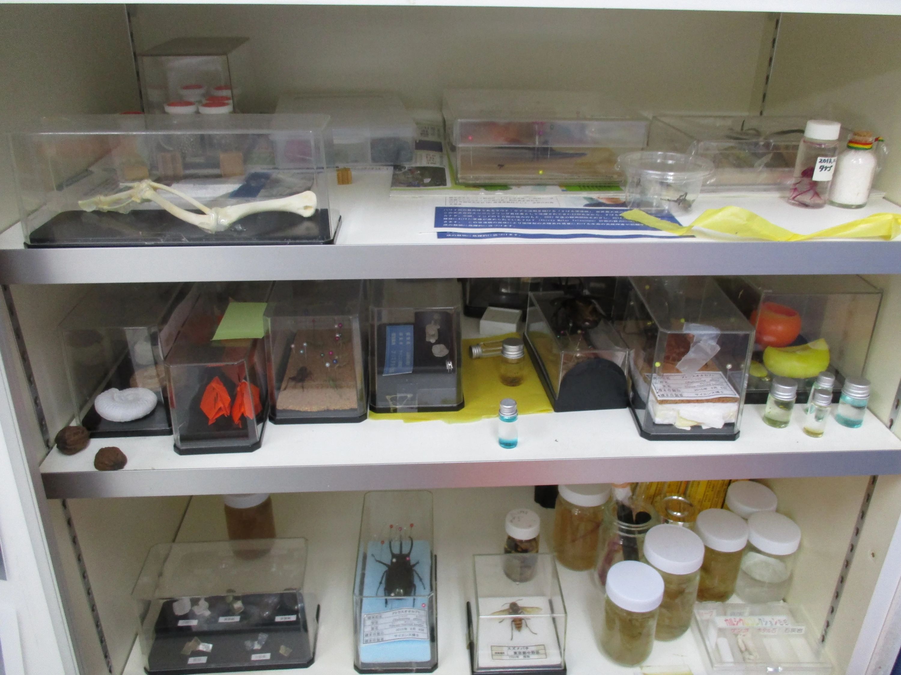 サイエンス倶楽部松戸教室のサムネイル画像 3