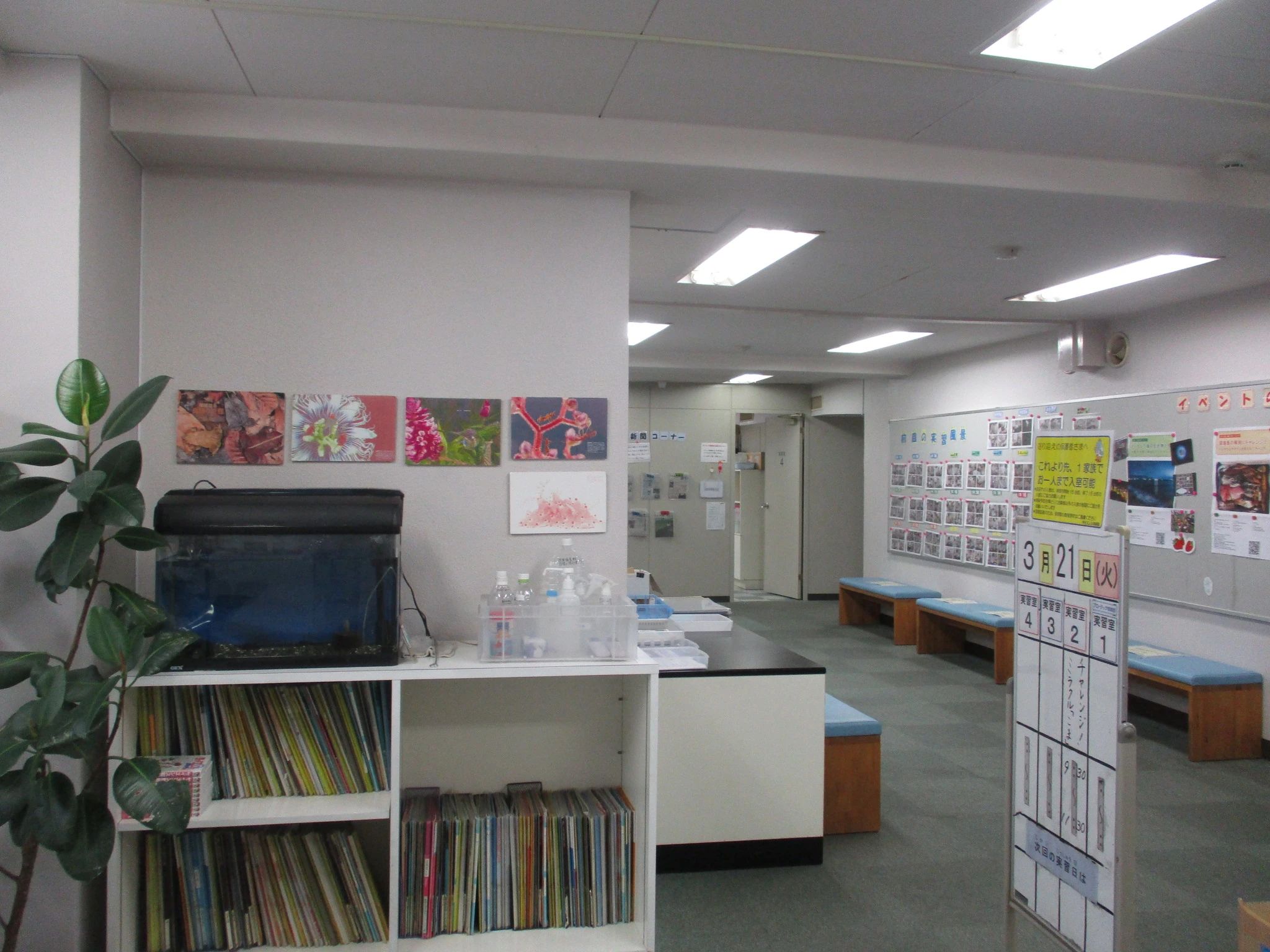 サイエンス倶楽部横浜教室のサムネイル画像 3