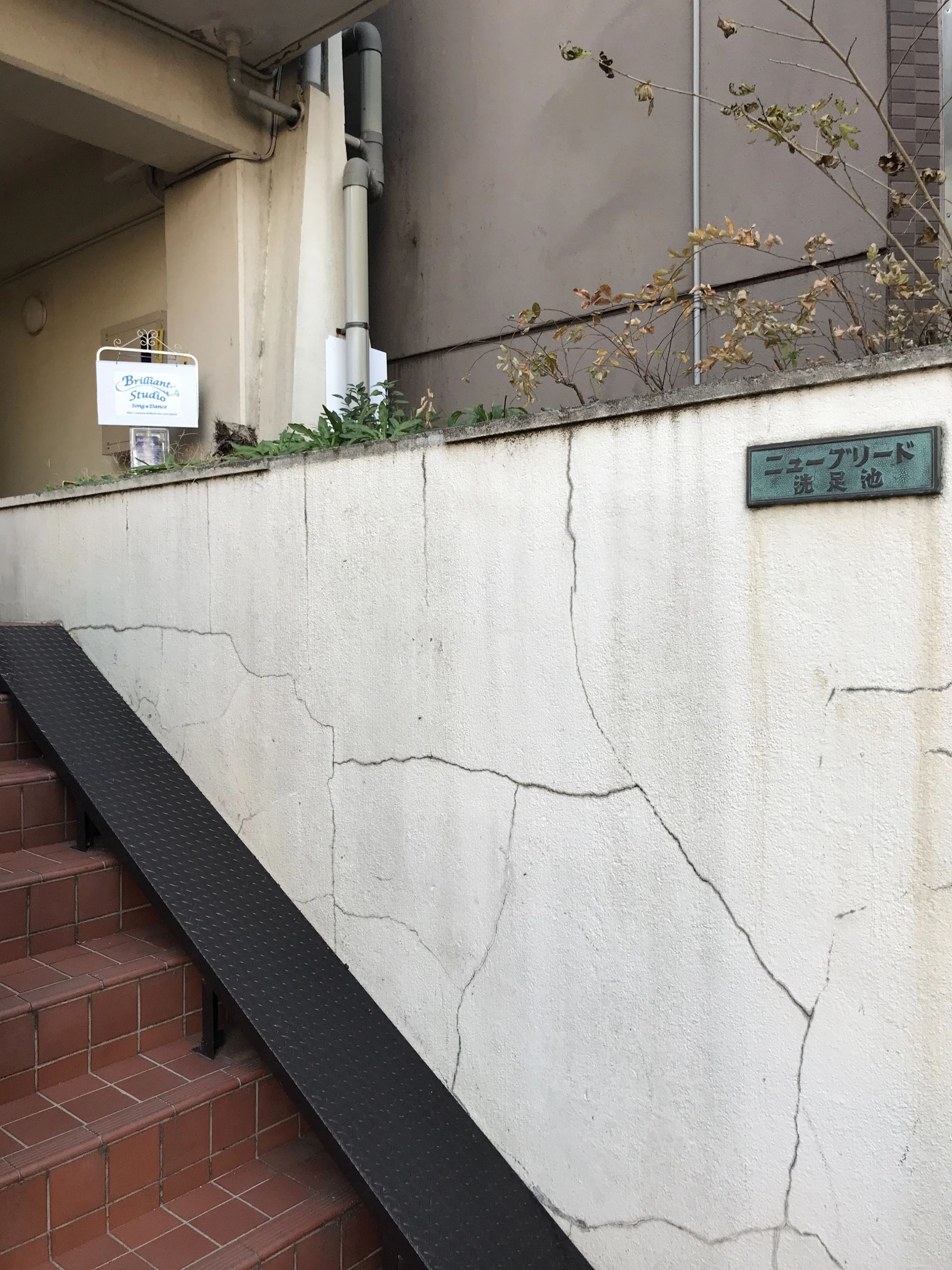 ブリリアントスタジオ バレエ ニューブリード洗足地のサムネイル画像 2