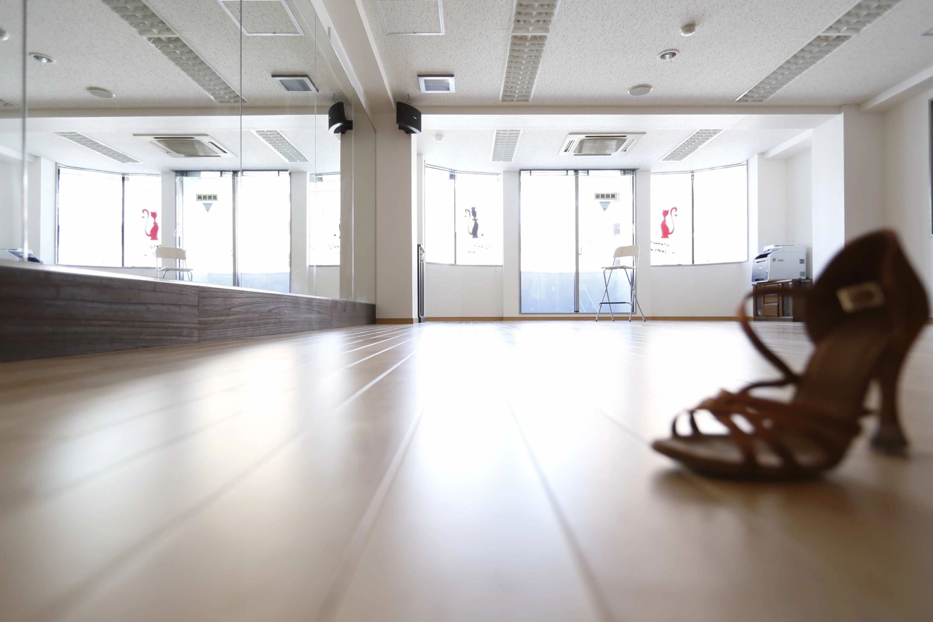 Las Danzas in Tokyo(ラス ダンツァス イン トウキョウ) バレエ 住吉町教室のサムネイル画像 3