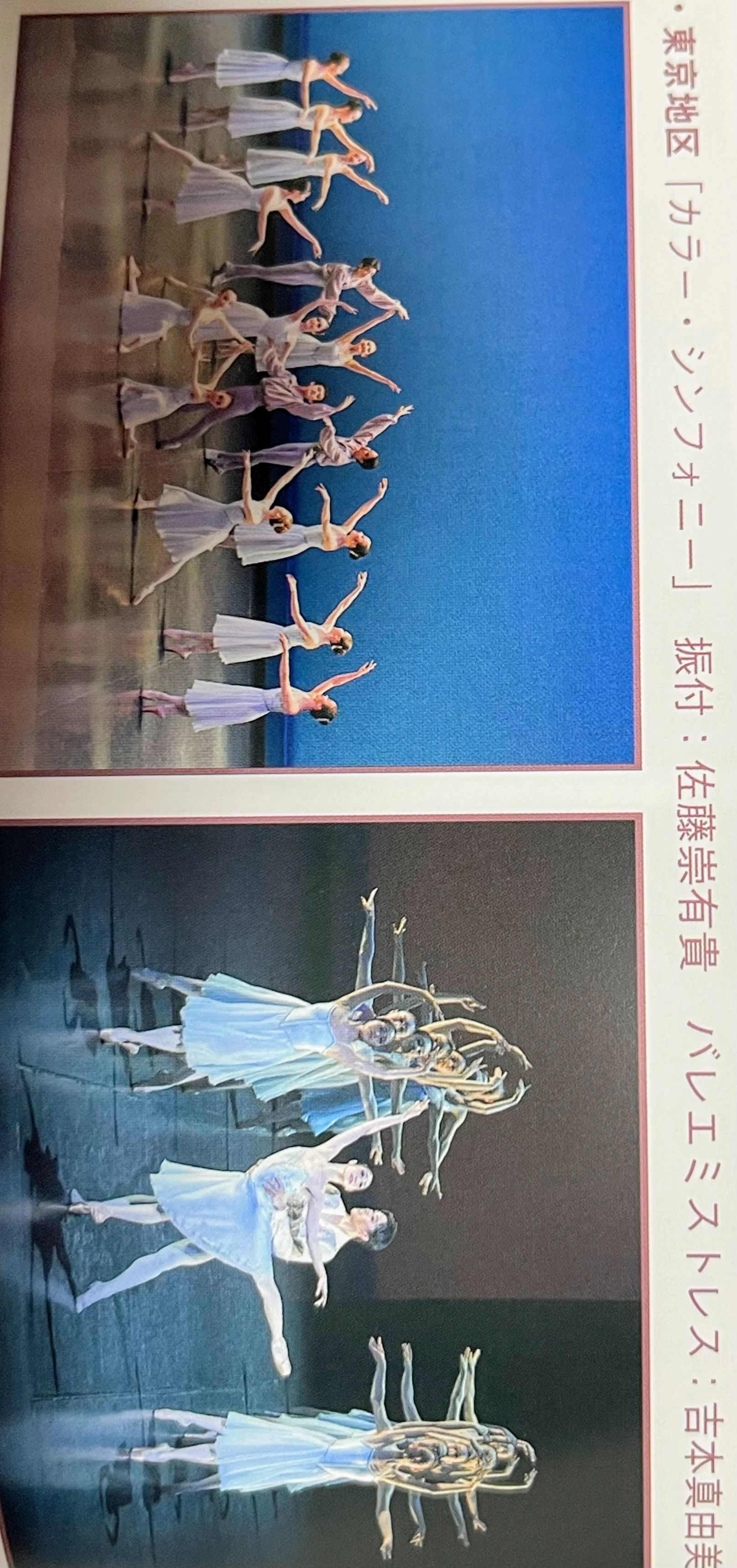 Amour Ballet(アムールバレエ) 平井教室のサムネイル画像 2