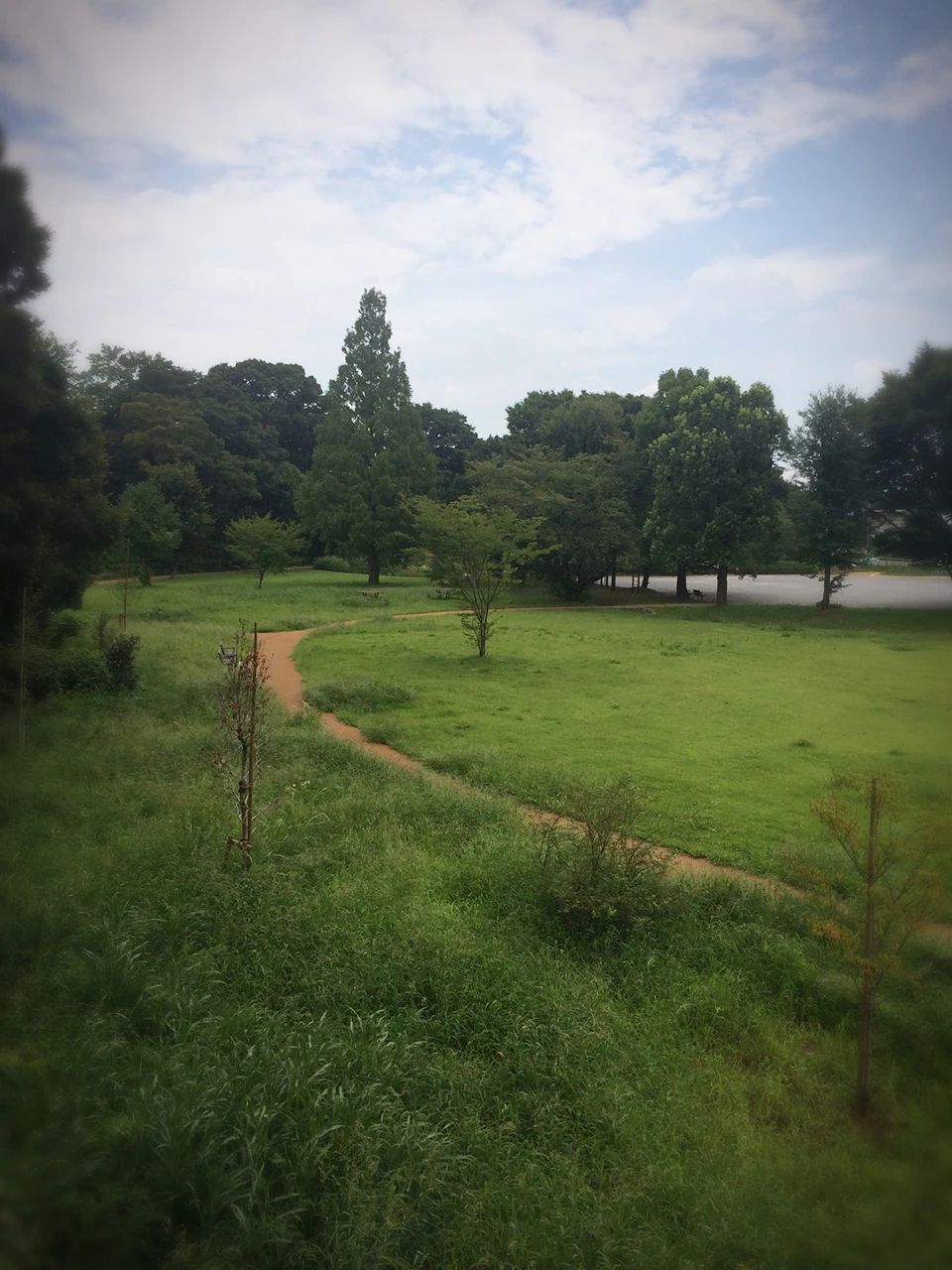 ANN’S espoir(アンズ エスポワール) バレエ 柴崎町教室のサムネイル画像 2