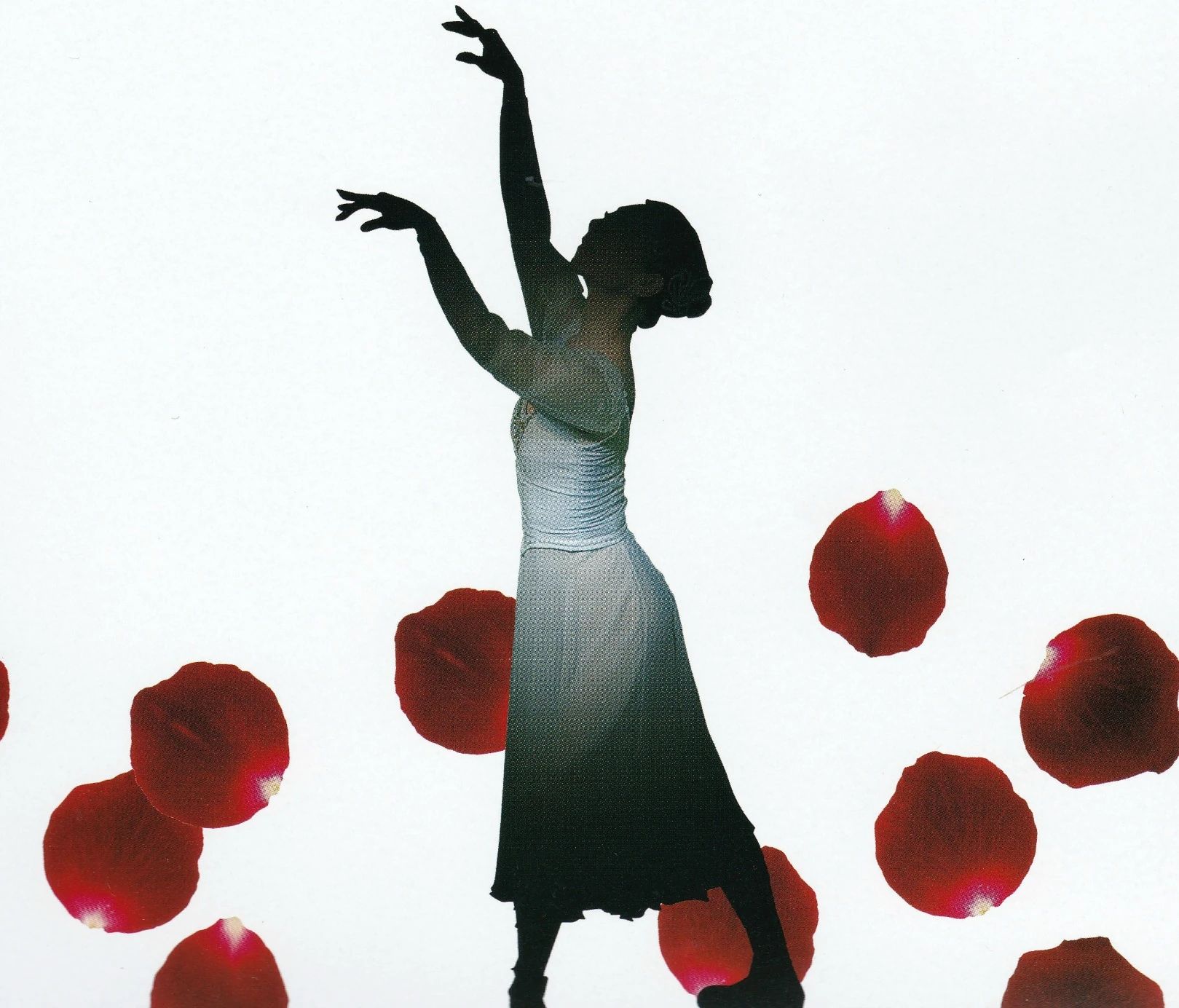 森山バレエ 住吉町教室のサムネイル画像 5