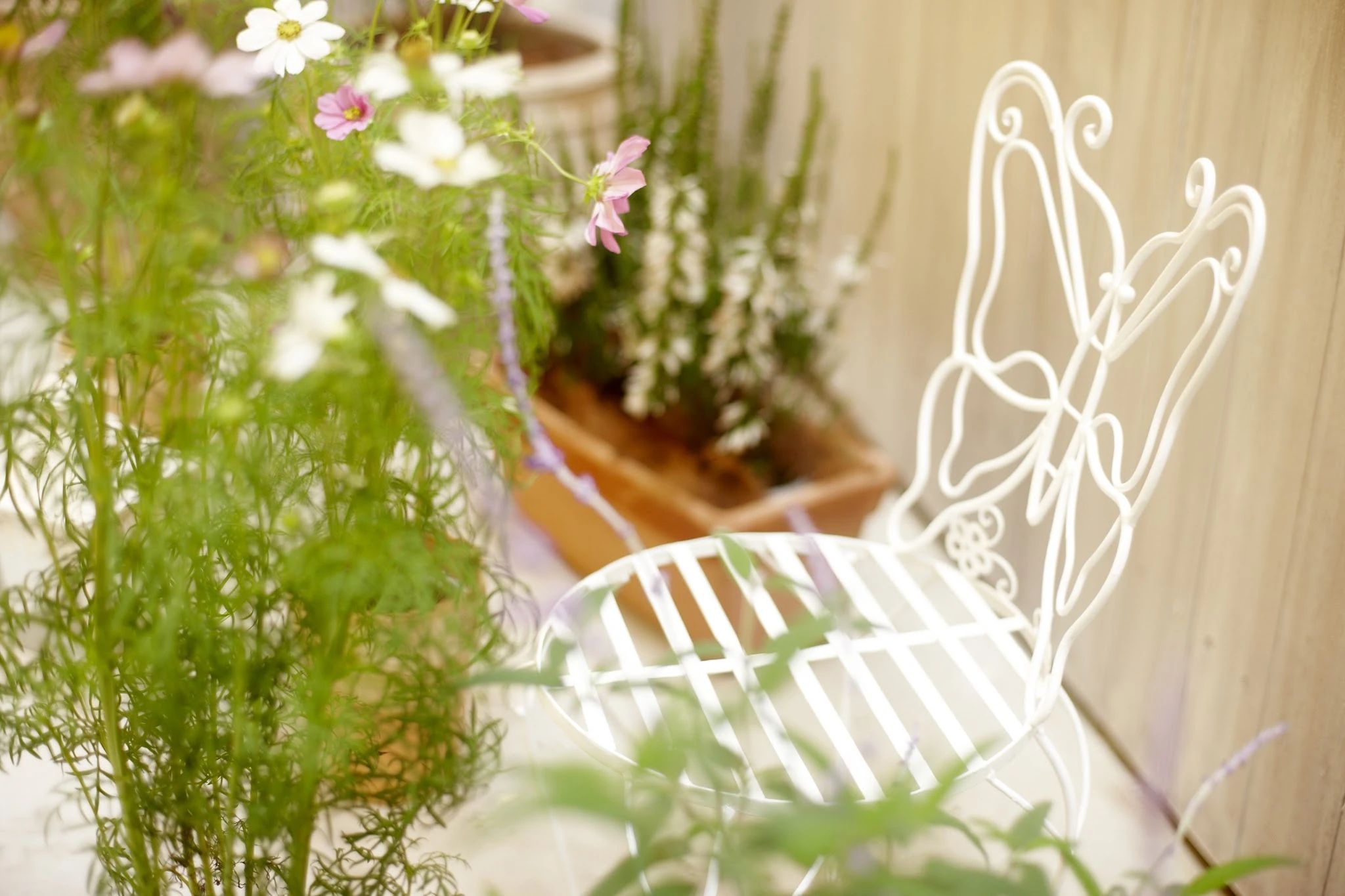 The Ballet Garden(ザ・バレエ・ガーデン) 渋谷神宮前本校のサムネイル画像 2