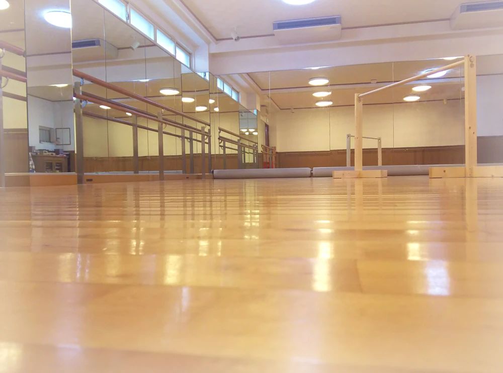 Shioiri(シオイリ) Dance Studio バレエ 西糀谷教室のサムネイル画像 2