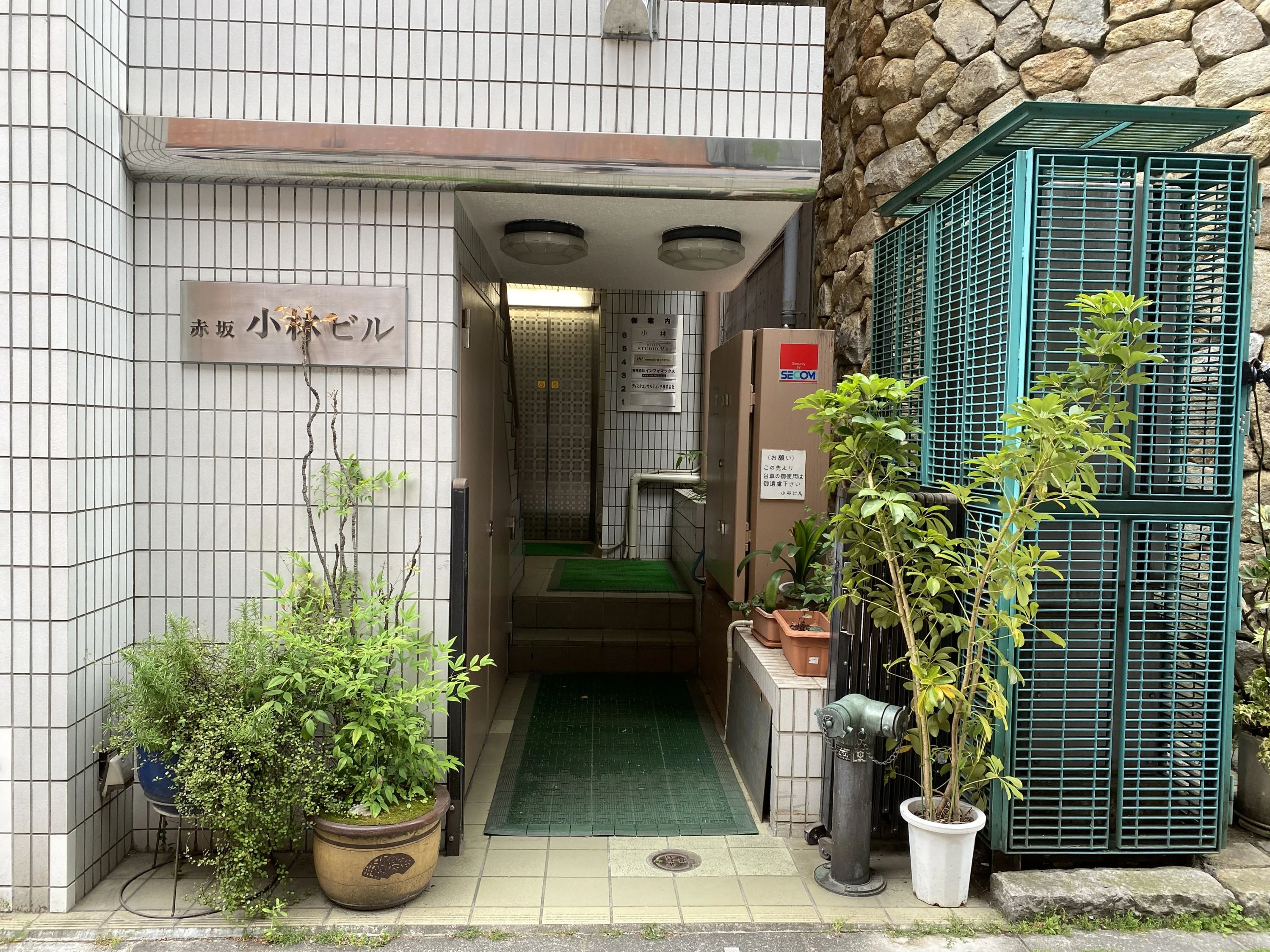 M'z(エムズ) バレエ 赤坂教室のメイン画像