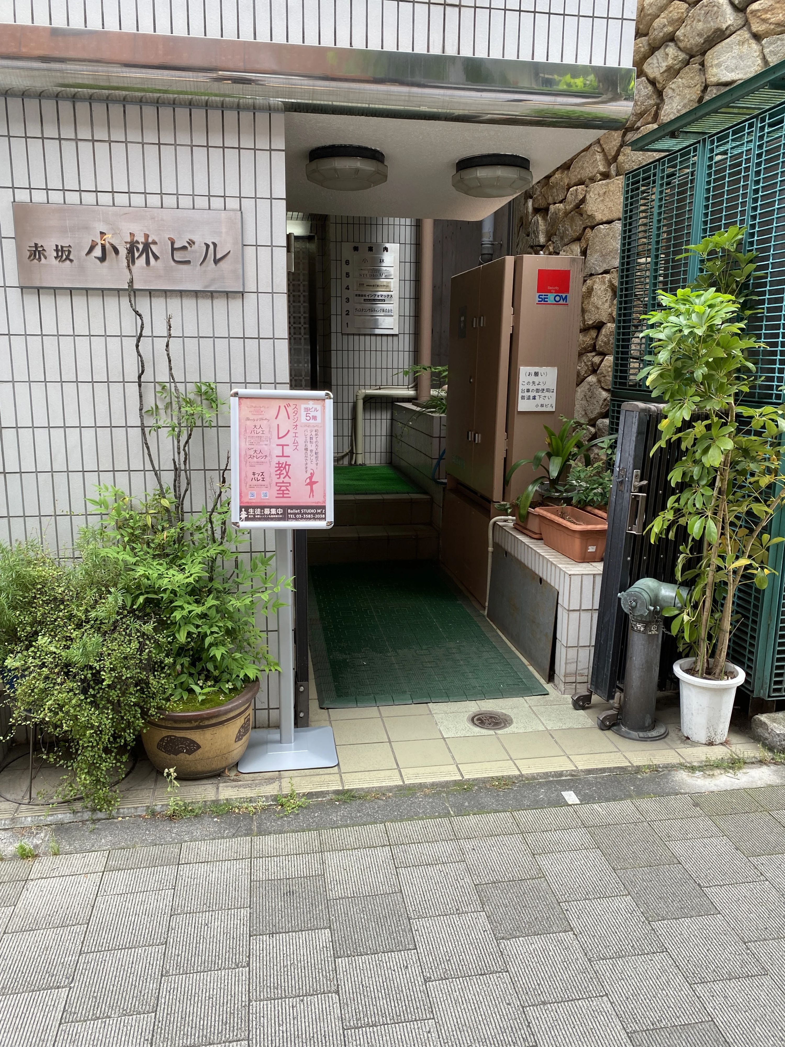 M'z(エムズ) バレエ 赤坂教室のサムネイル画像 3