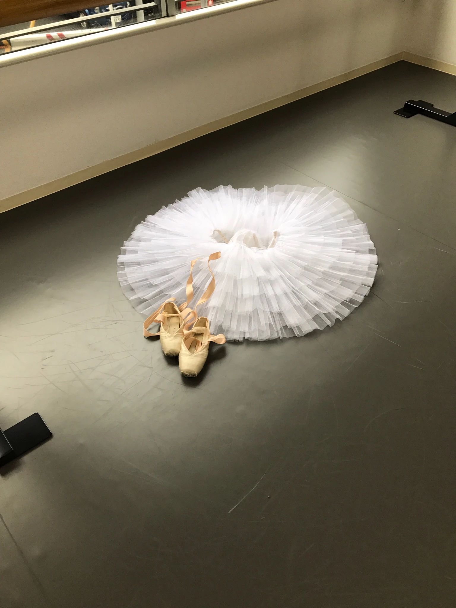 L CLASS BALLET 森教室のサムネイル画像 2