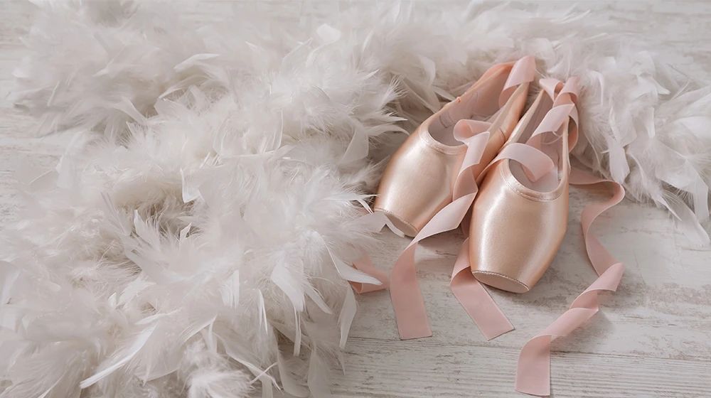 Mayumi Kinouchi(マユミキノウチ) Ballet Studio たちばな台教室のメイン画像