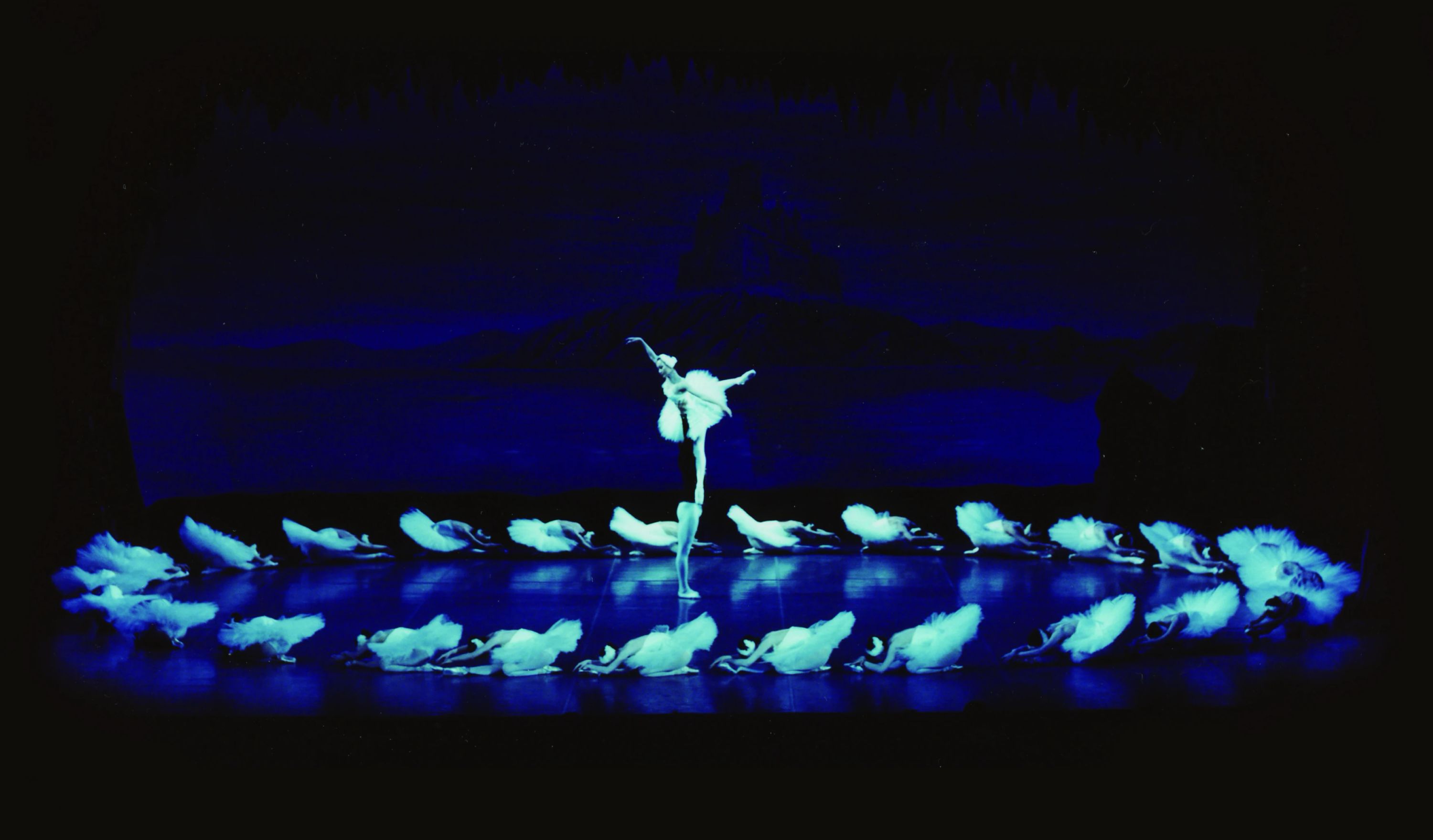 スズキ・クラシック・バレエ・アカデミー 大船スタジオ（本校）のメイン画像