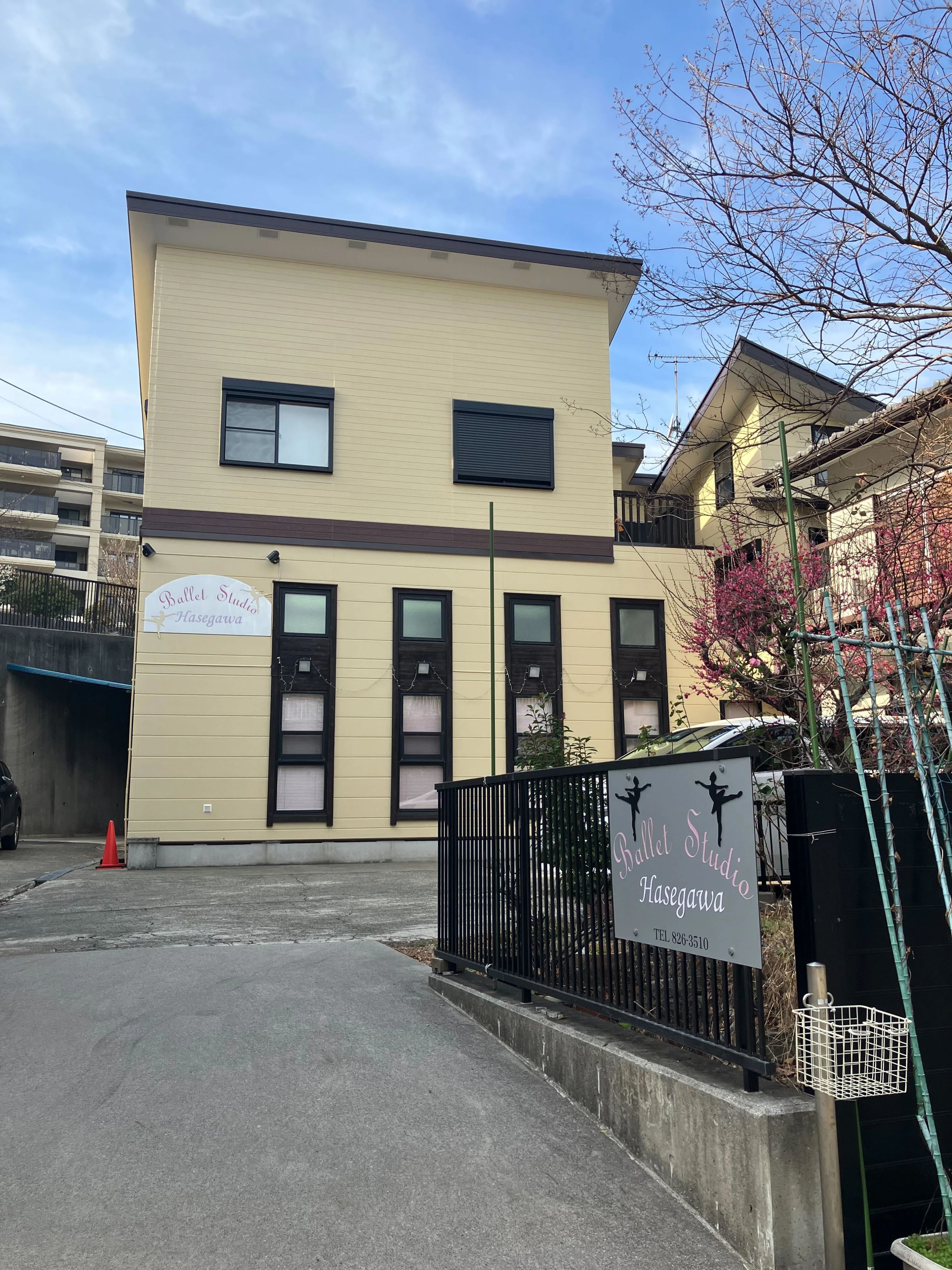 Haseagwa(長谷川) Ballet Studio 品濃町教室のサムネイル画像 3