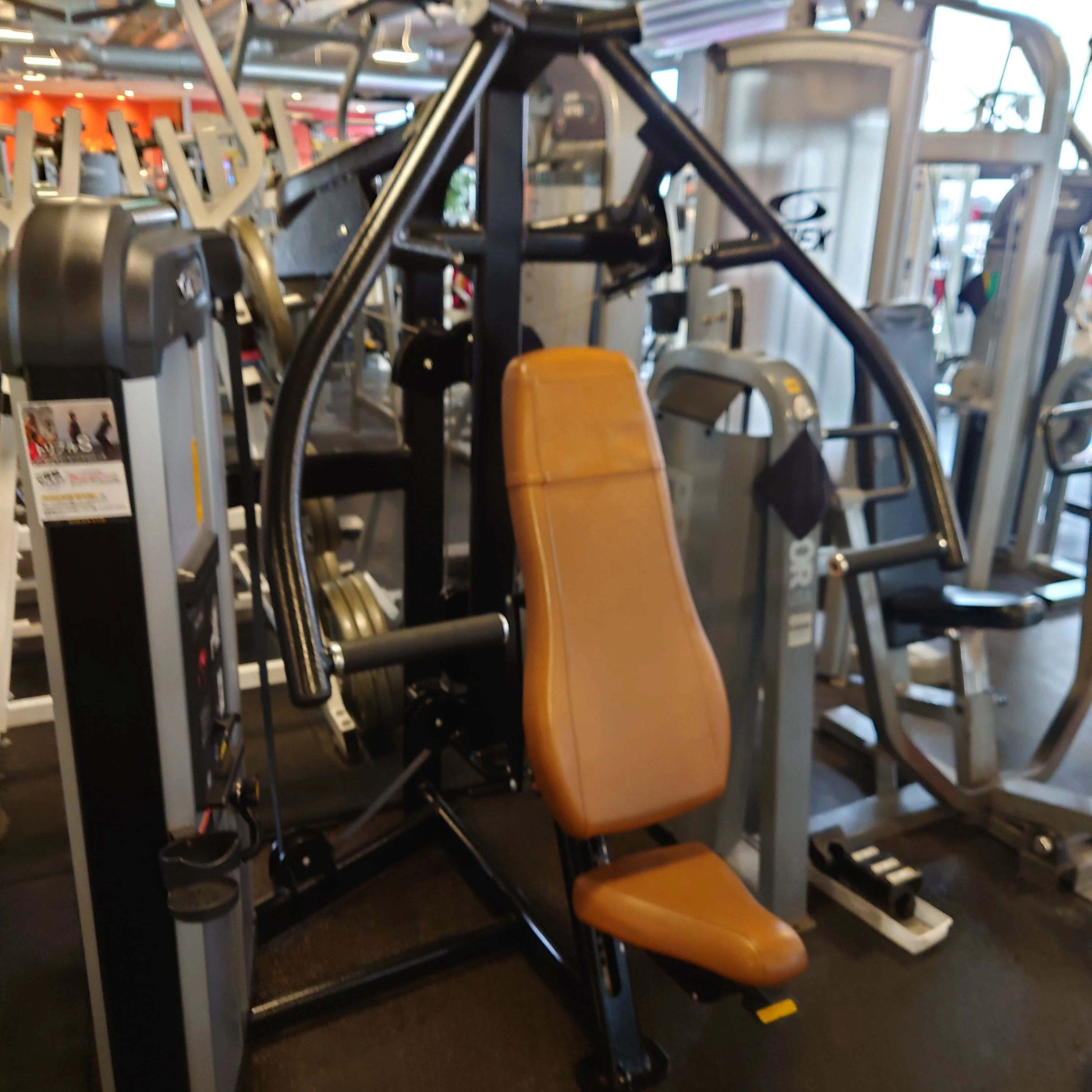 Gold’s Gym(ゴールドジム) バレエ 溝の口神奈川のサムネイル画像 3