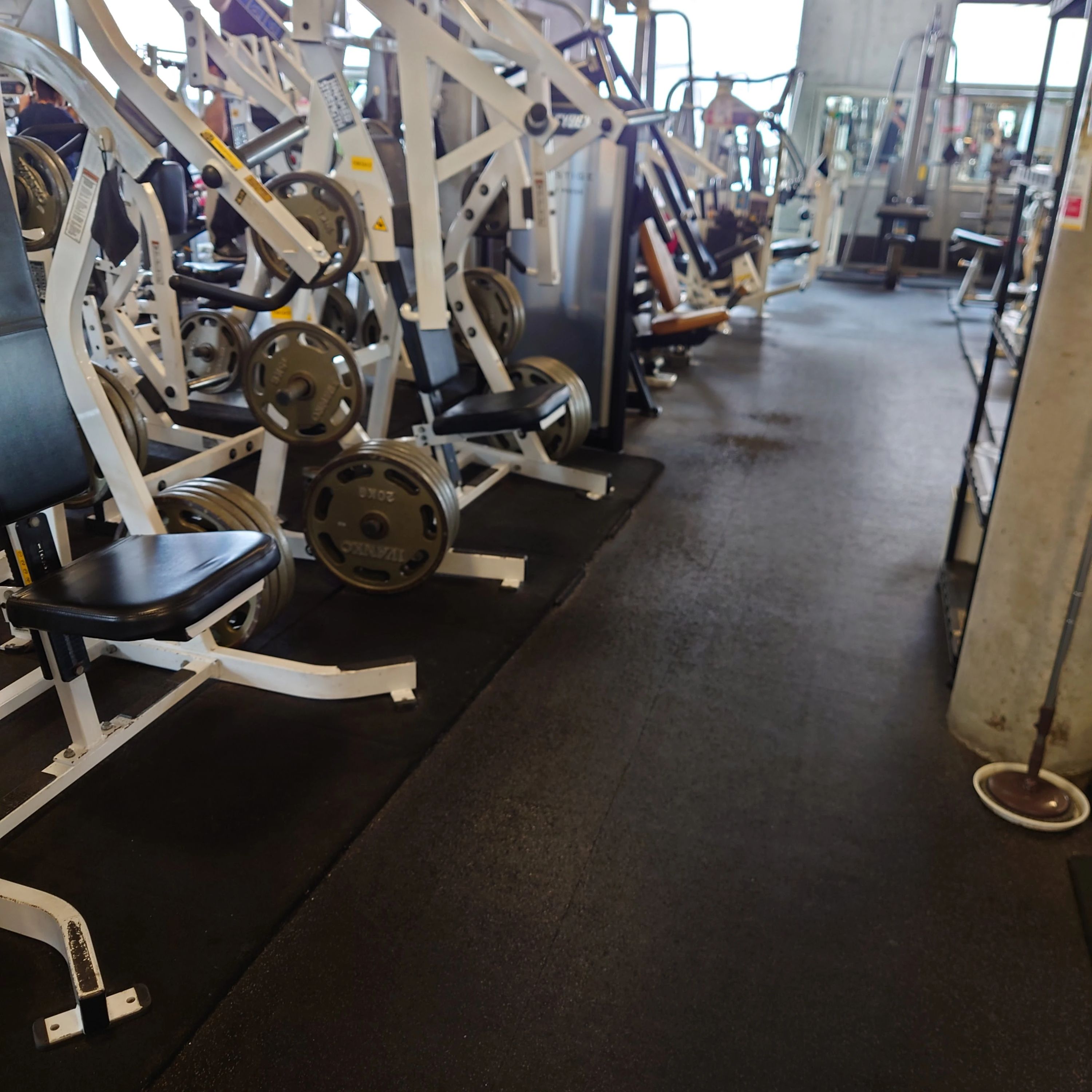 Gold’s Gym(ゴールドジム) バレエ 溝の口神奈川のサムネイル画像 5