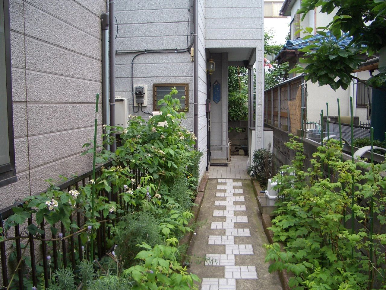 野沢きよみバレエスタジオ 淵野辺バレエスタジオのサムネイル画像 3