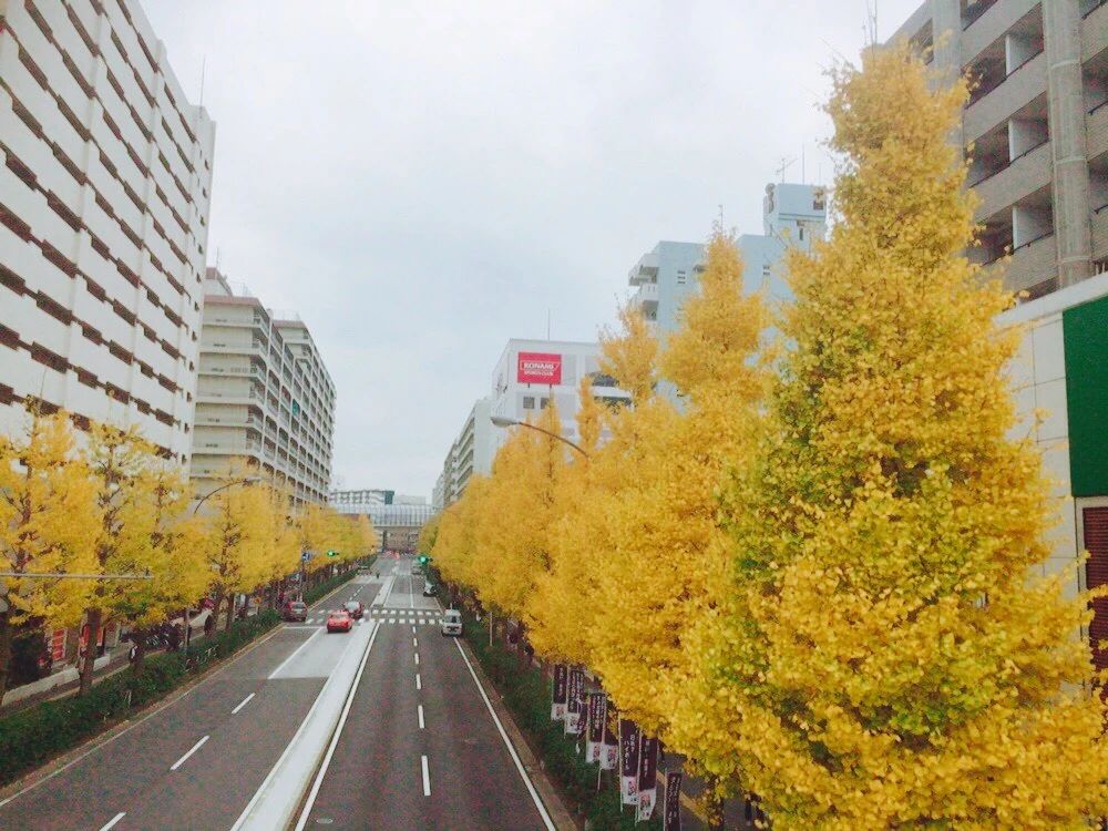 MIMILIAN(ミミリアン) BALLET 森教室のメイン画像