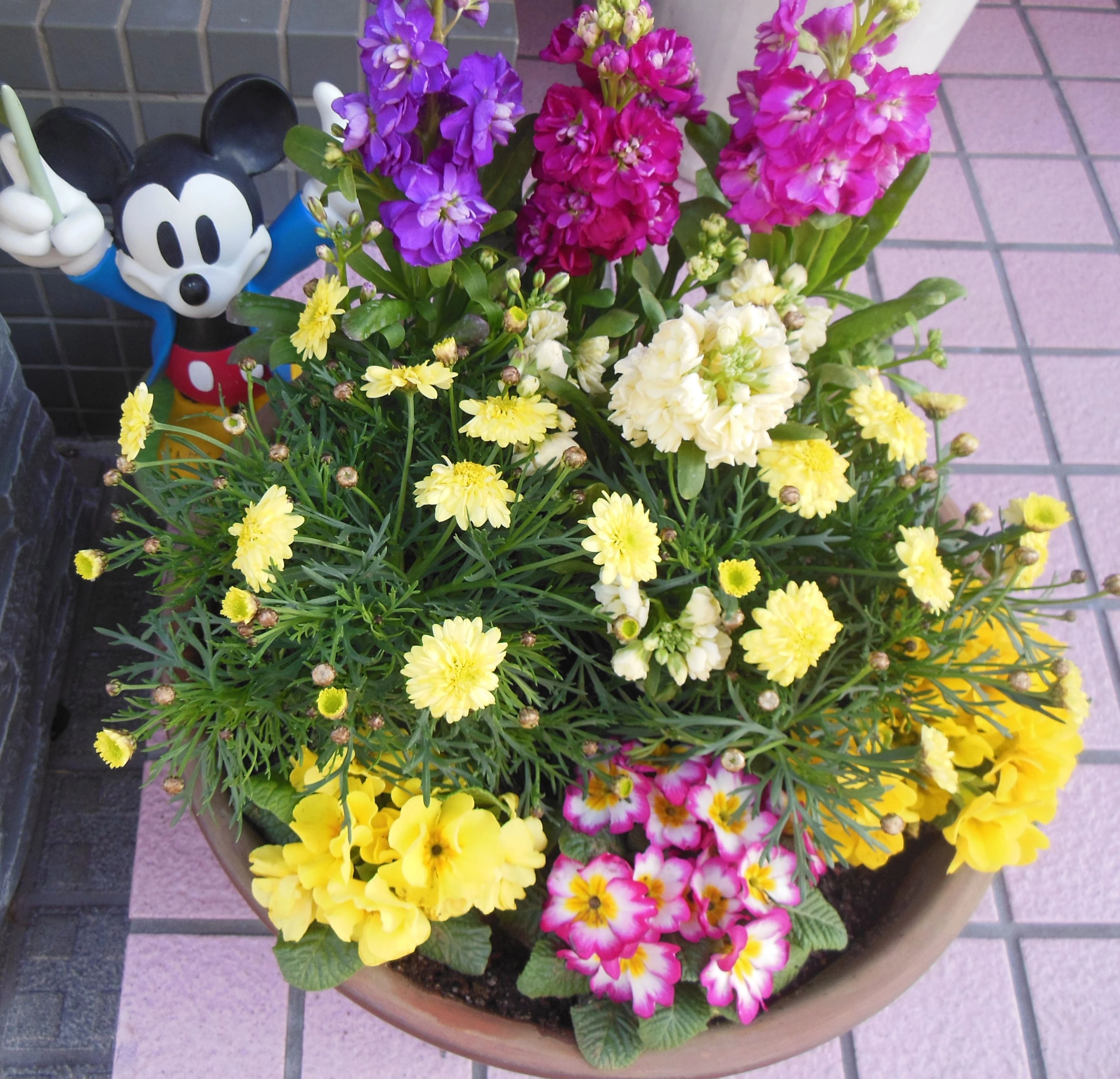 ＡＮＲＹ学習館のサムネイル画像 4