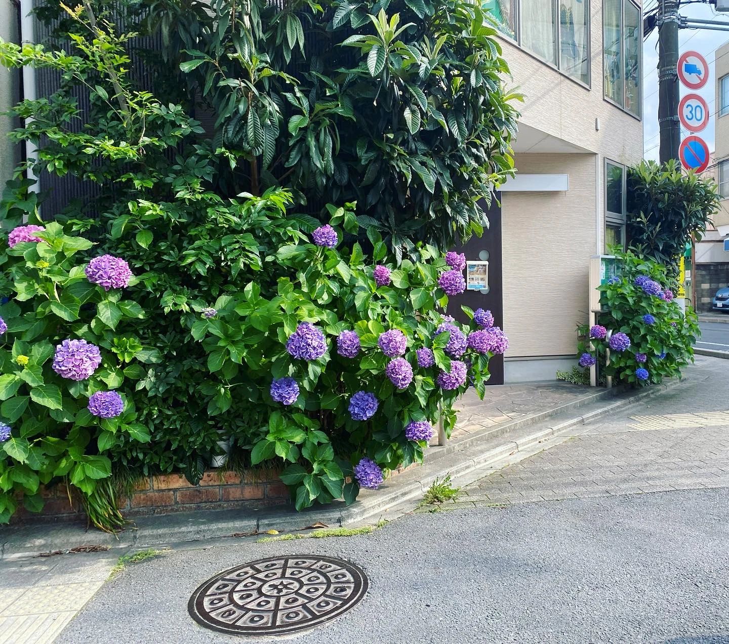 C-Studio バレエ 小山西元町教室のサムネイル画像 2