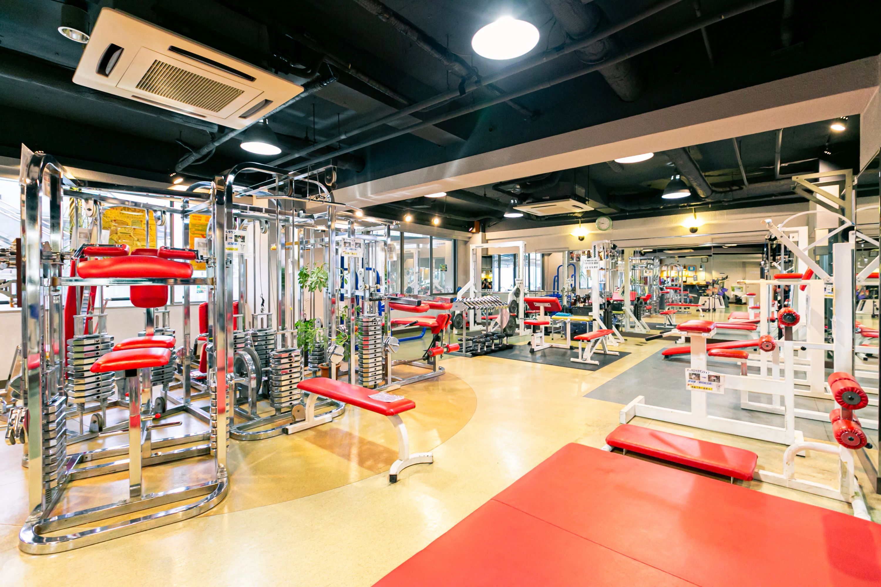 星の子スイミングスクール バレエ 中立売智恵光院裏門東入多門教室のサムネイル画像 3