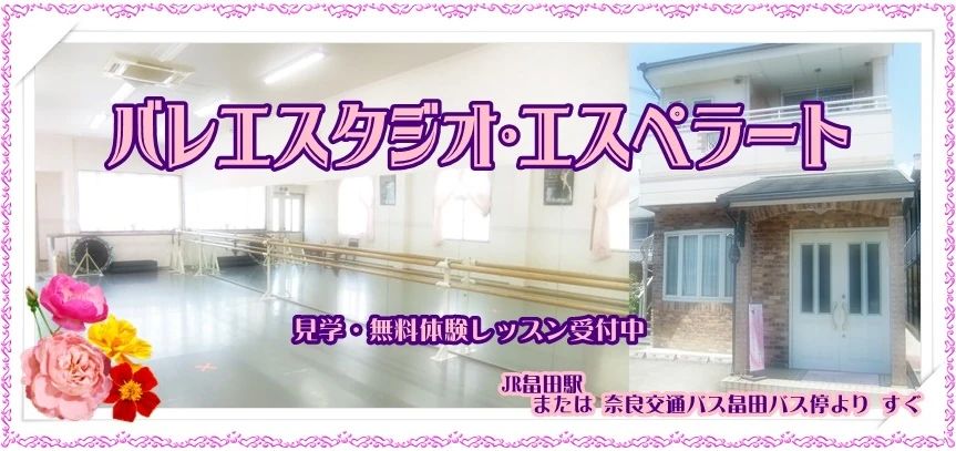 バレエスタジオ・エスペラート 畠田教室のサムネイル画像 3