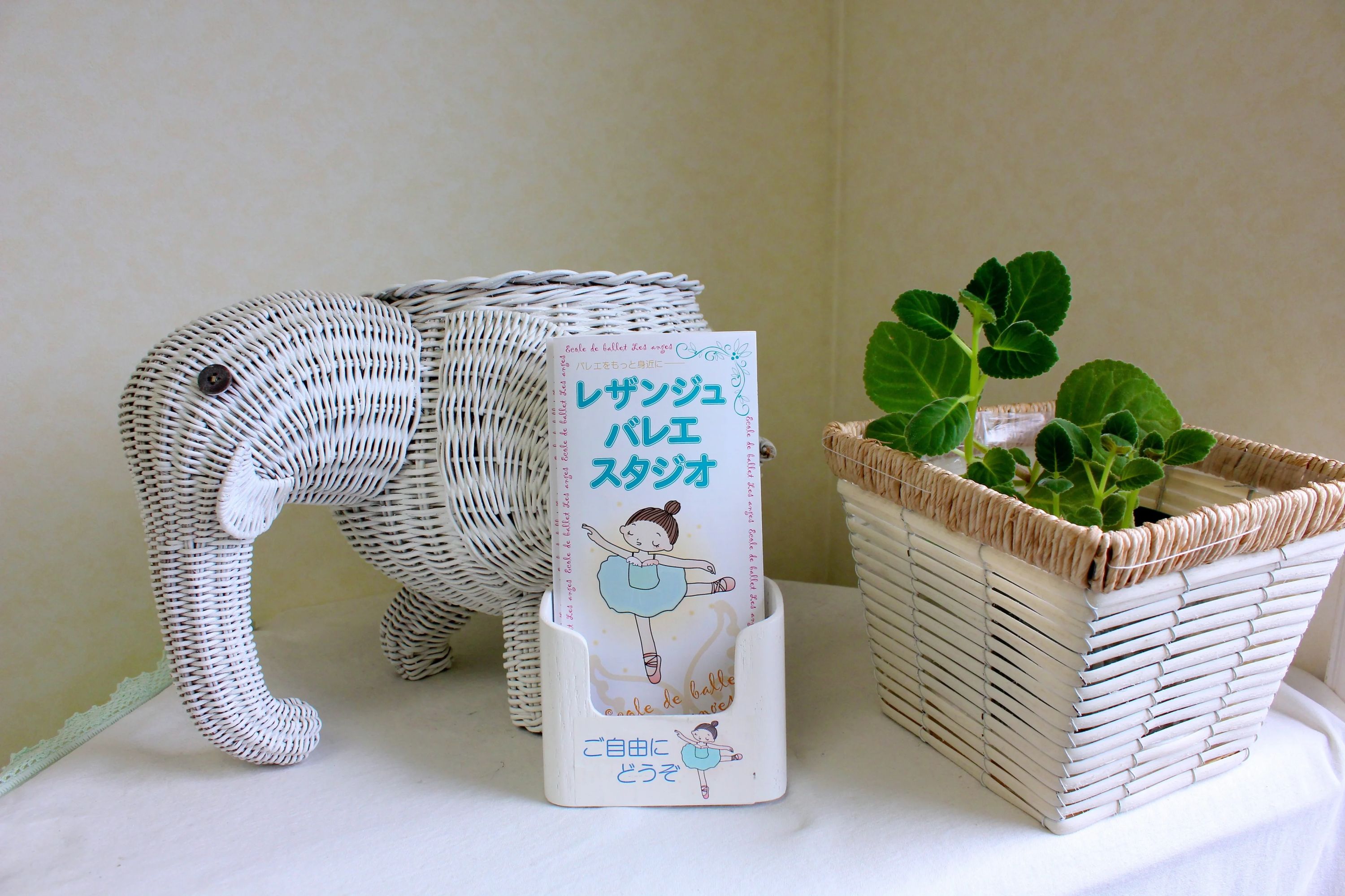 レザンジュバレエスタジオ 宮内教室のサムネイル画像 5