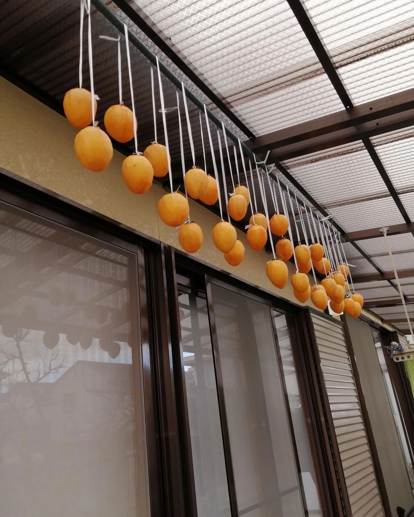 エンジョイスポーツZ-UP バレエ 上徳甲教室のメイン画像