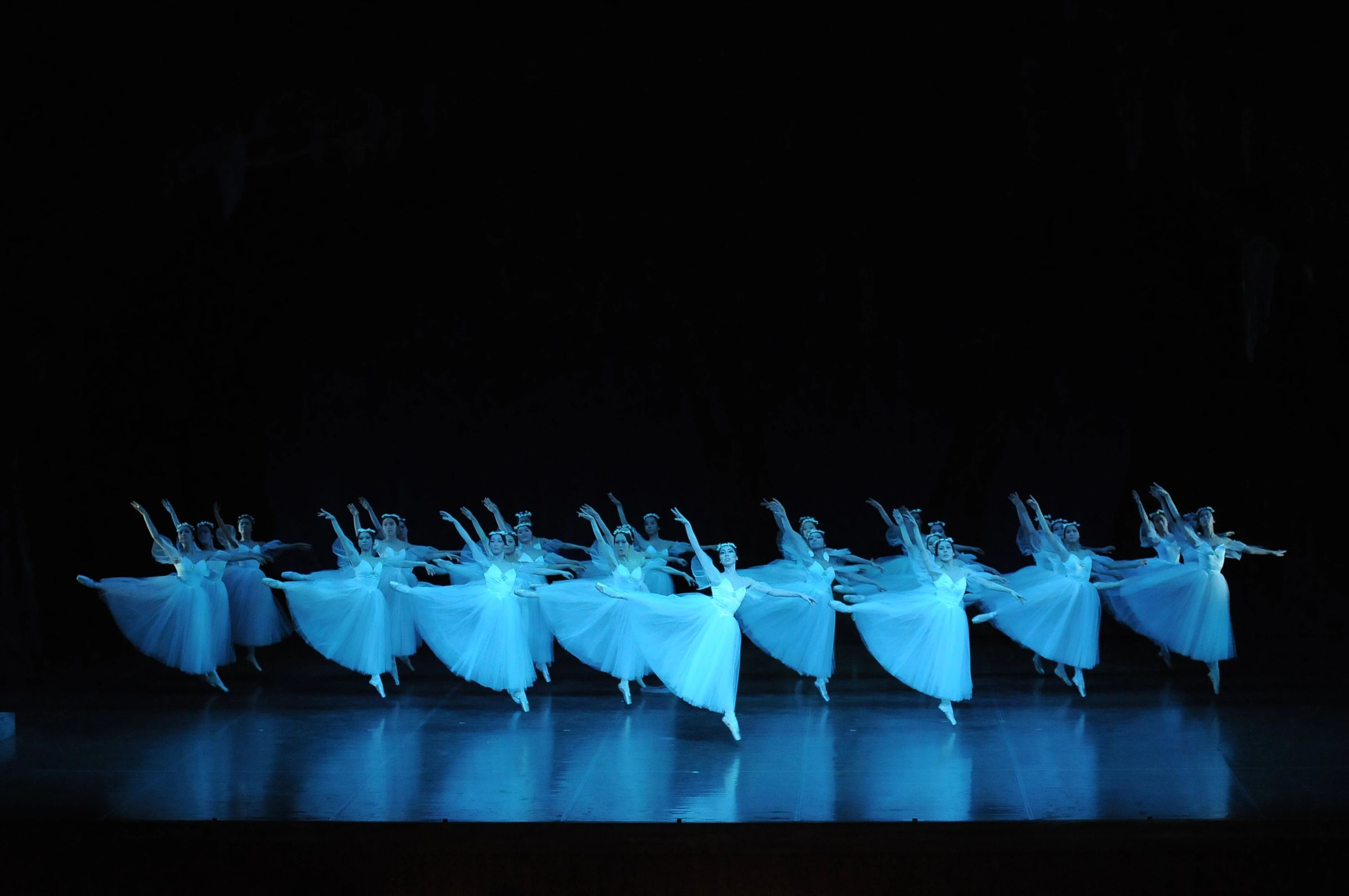 坂本バレエスタジオ 城西教室のメイン画像