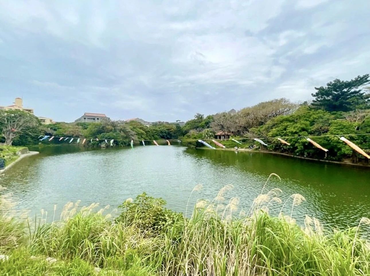 南条幸子バレエ研究所 首里教室のサムネイル画像 5