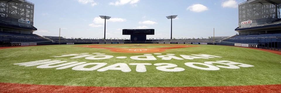 新潟野球塾シンプルベースボールアカデミー HARD OFF ECOスタジアム新潟のメイン画像