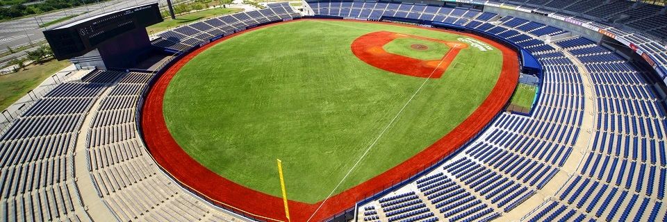 新潟野球塾シンプルベースボールアカデミー HARD OFF ECOスタジアム新潟のサムネイル画像 2