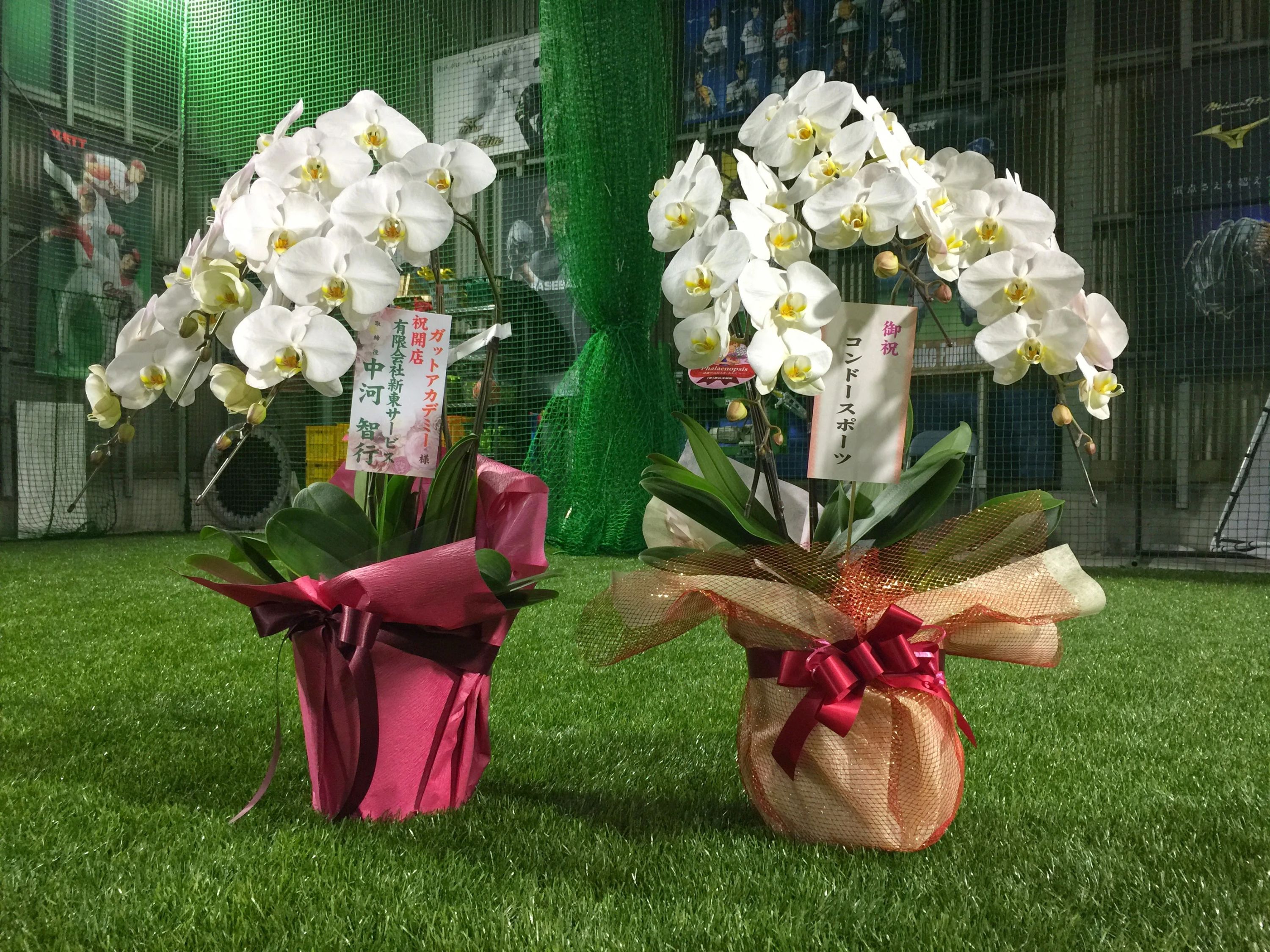 ガットアカデミー 野球 青木町教室のサムネイル画像 5