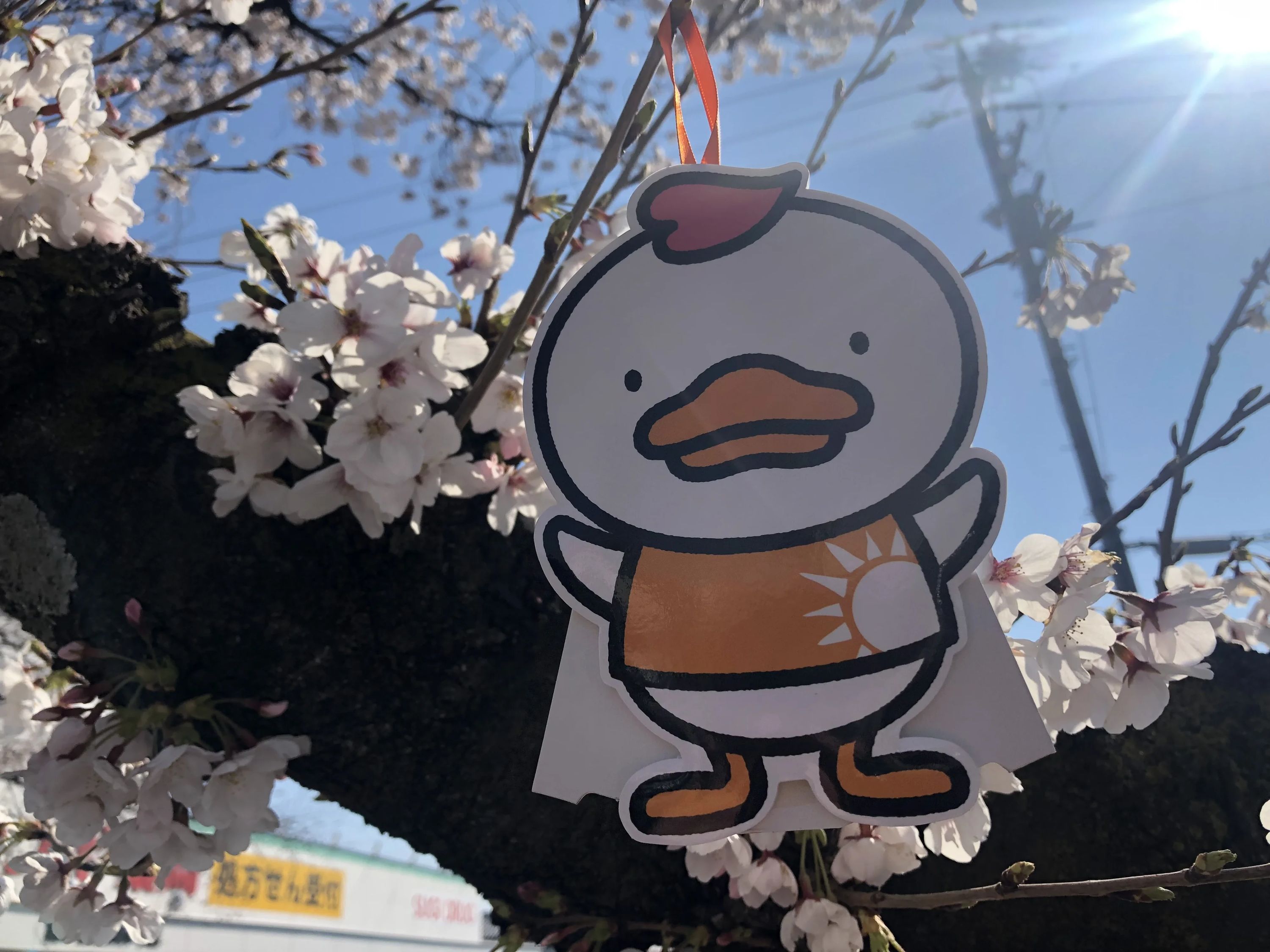 七田式岡崎駅前教室のサムネイル画像 4