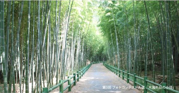 植田ファイターズ 野球 牧野ヶ池緑地のメイン画像