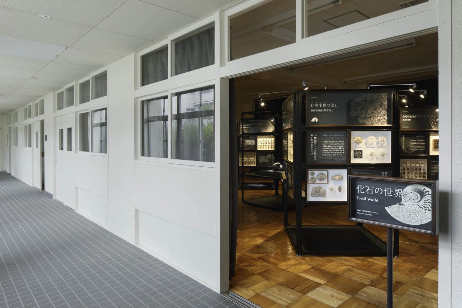 静岡ジュニアユースベースボールクラブ ふじのくに地球環境史ミュージアム内グラウンドのサムネイル画像 4