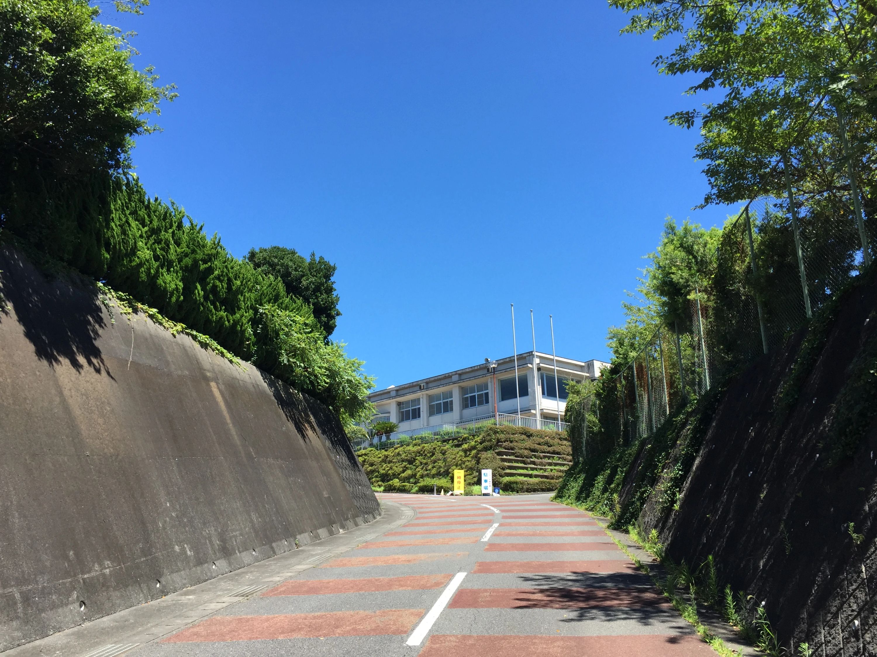 静岡ジュニアユースベースボールクラブ ふじのくに地球環境史ミュージアム内グラウンドのメイン画像